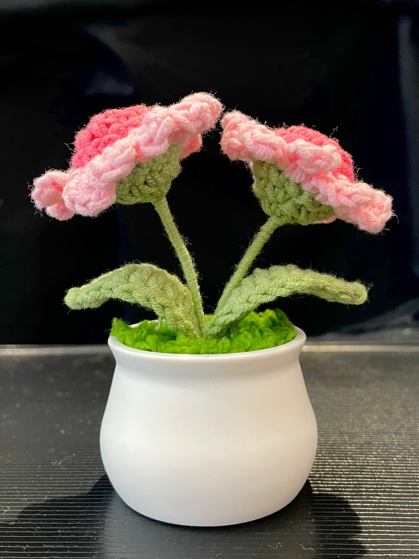 Daisy in White Pot