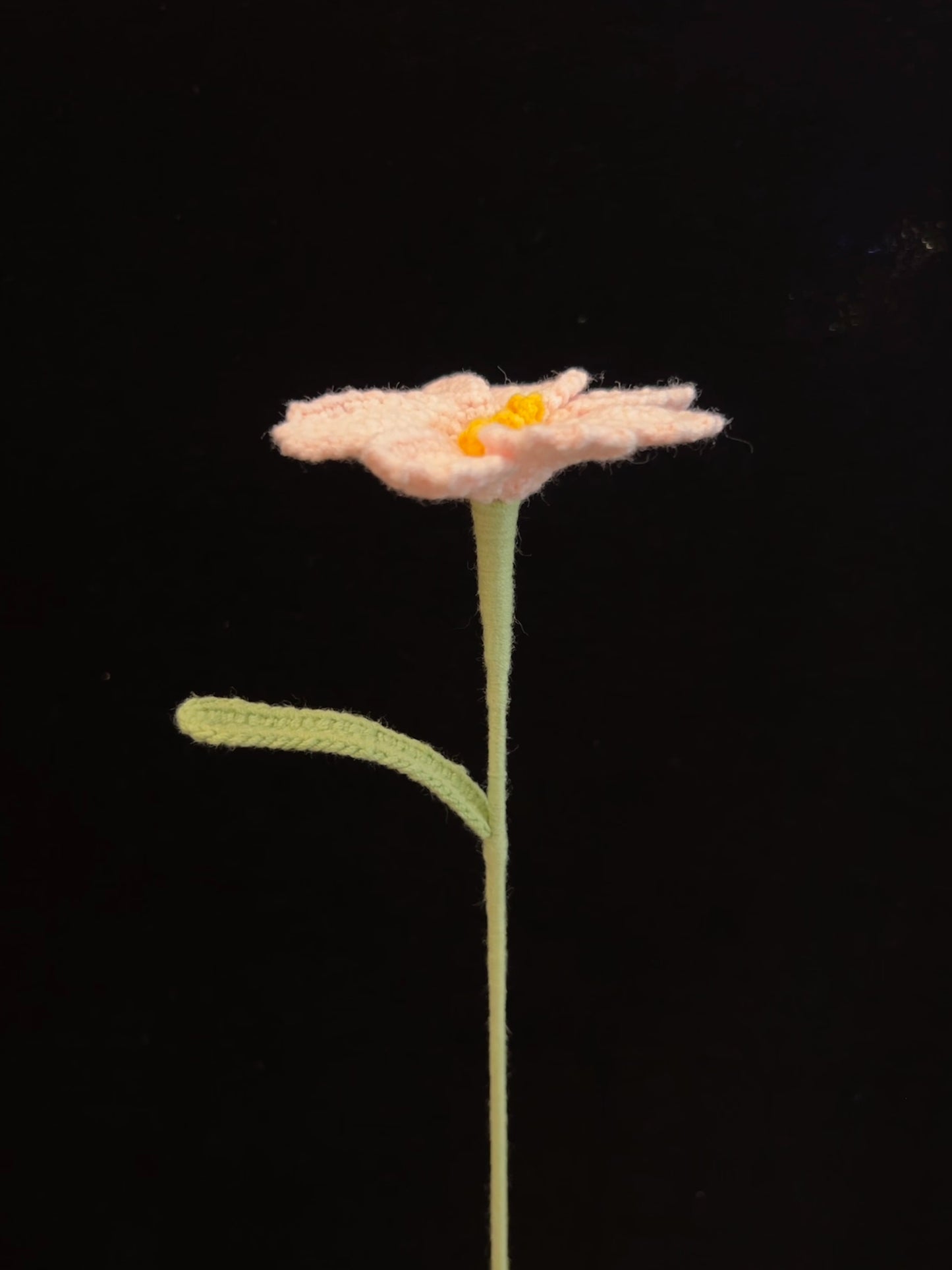 Galsang Flower