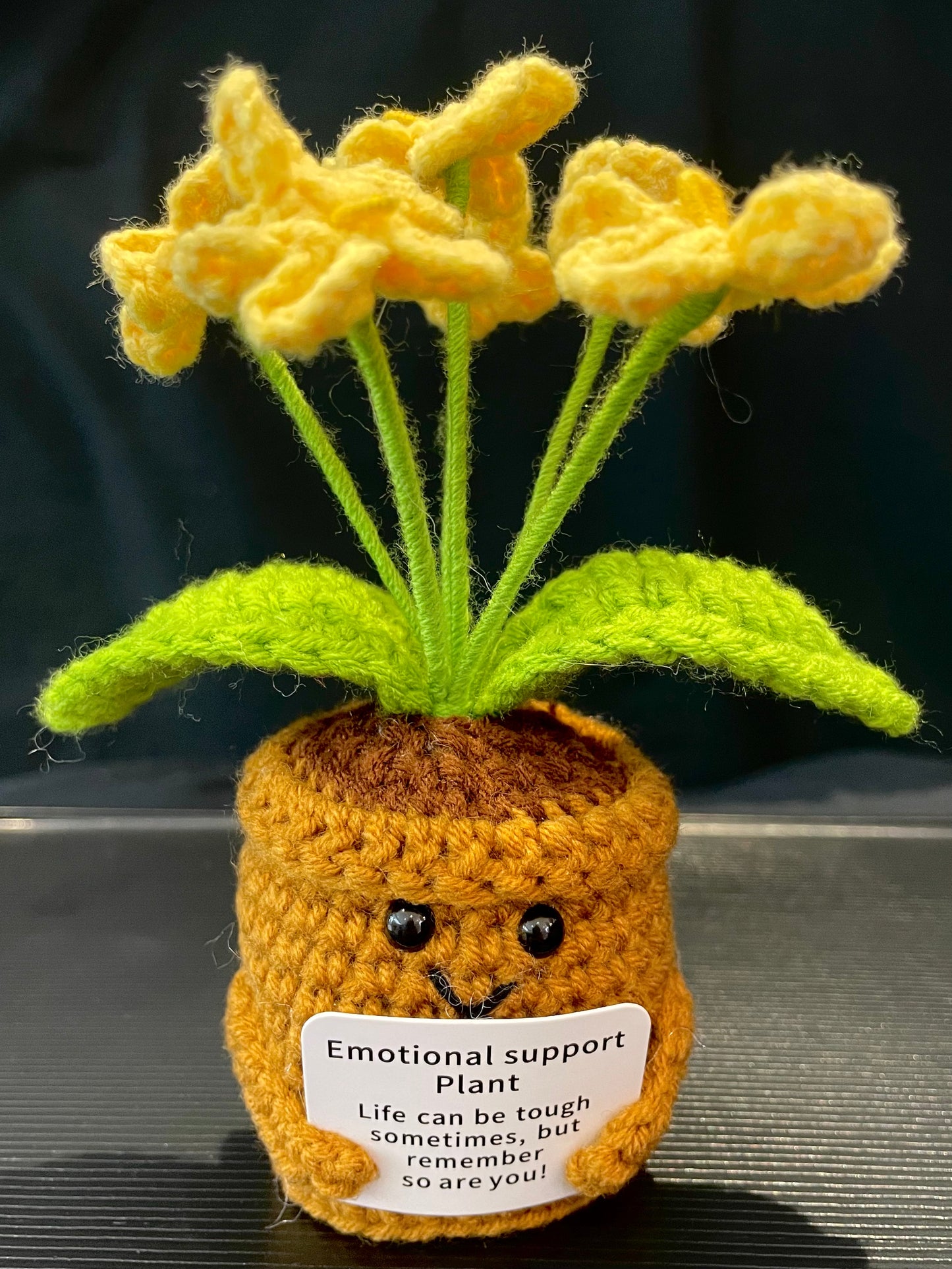 Emotional Support Plant (Foget-me-not)