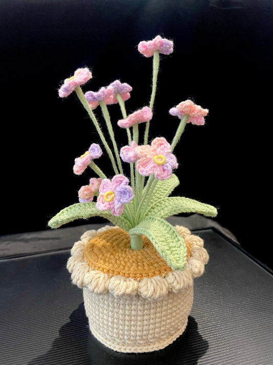 Forget-me-not Pot