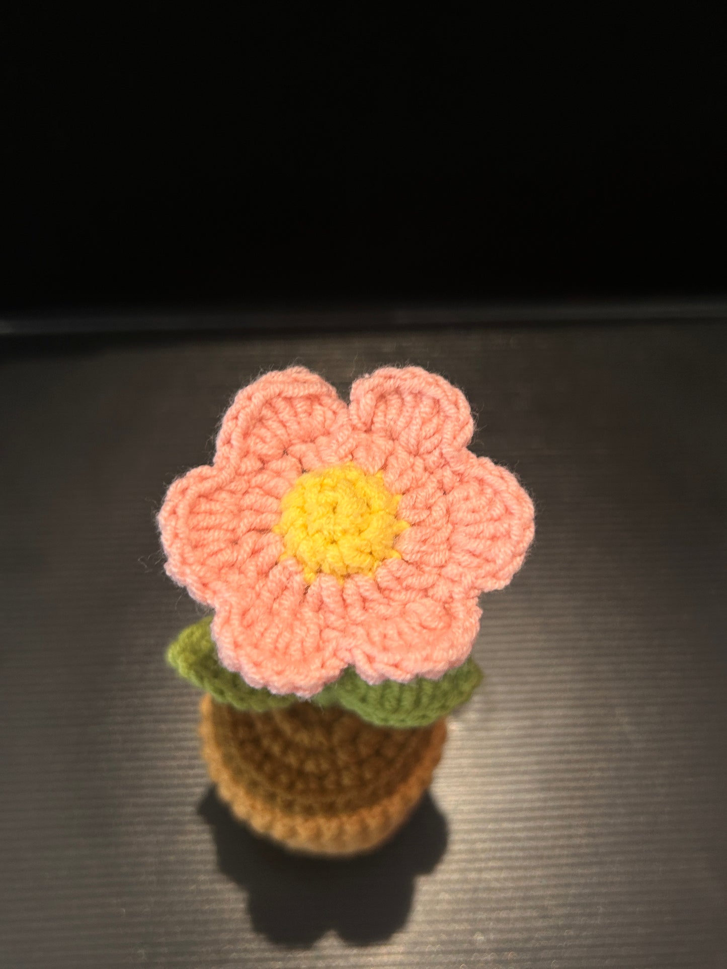 Daisy Pot (Single)