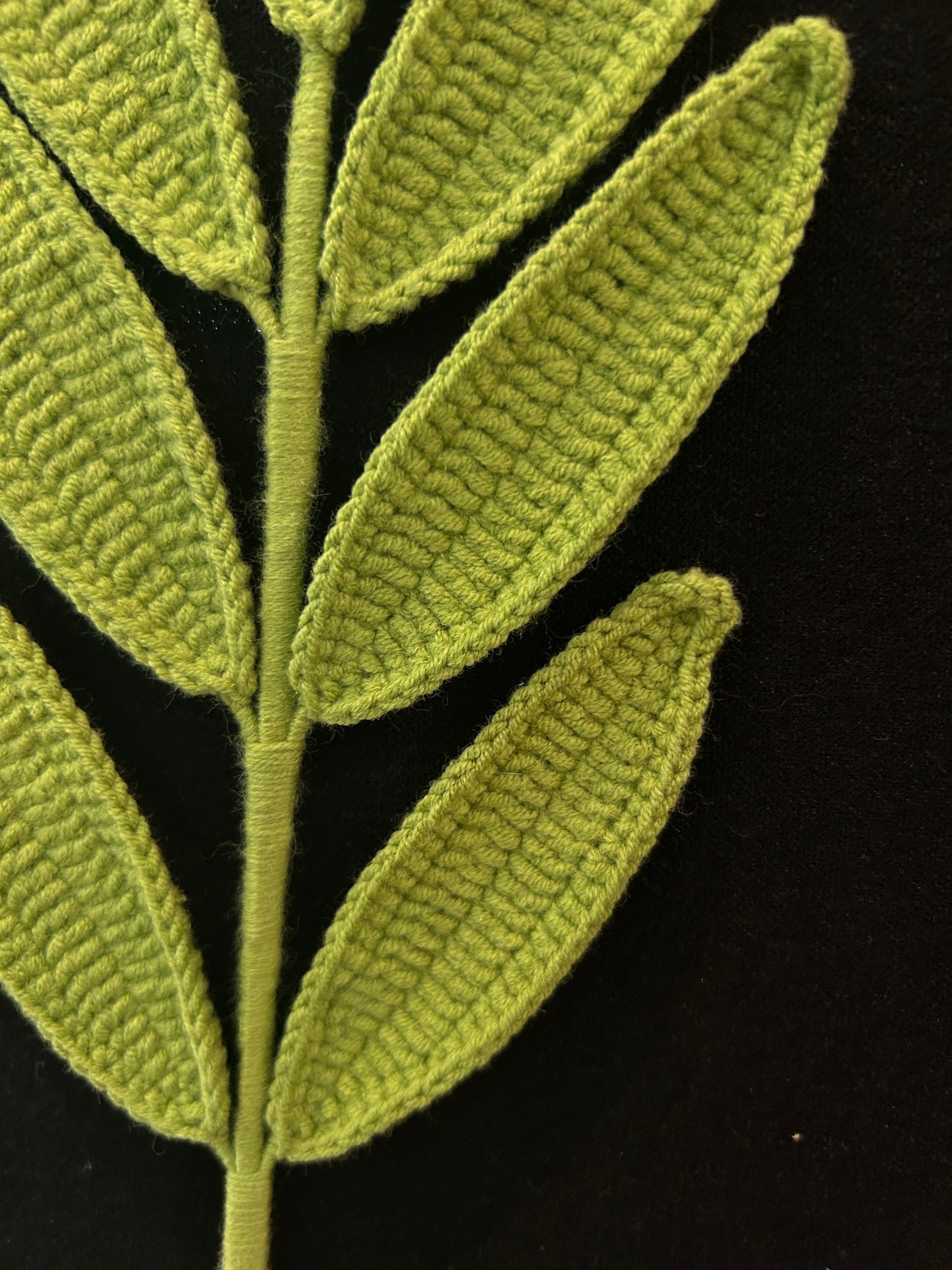 Palmate Leaf