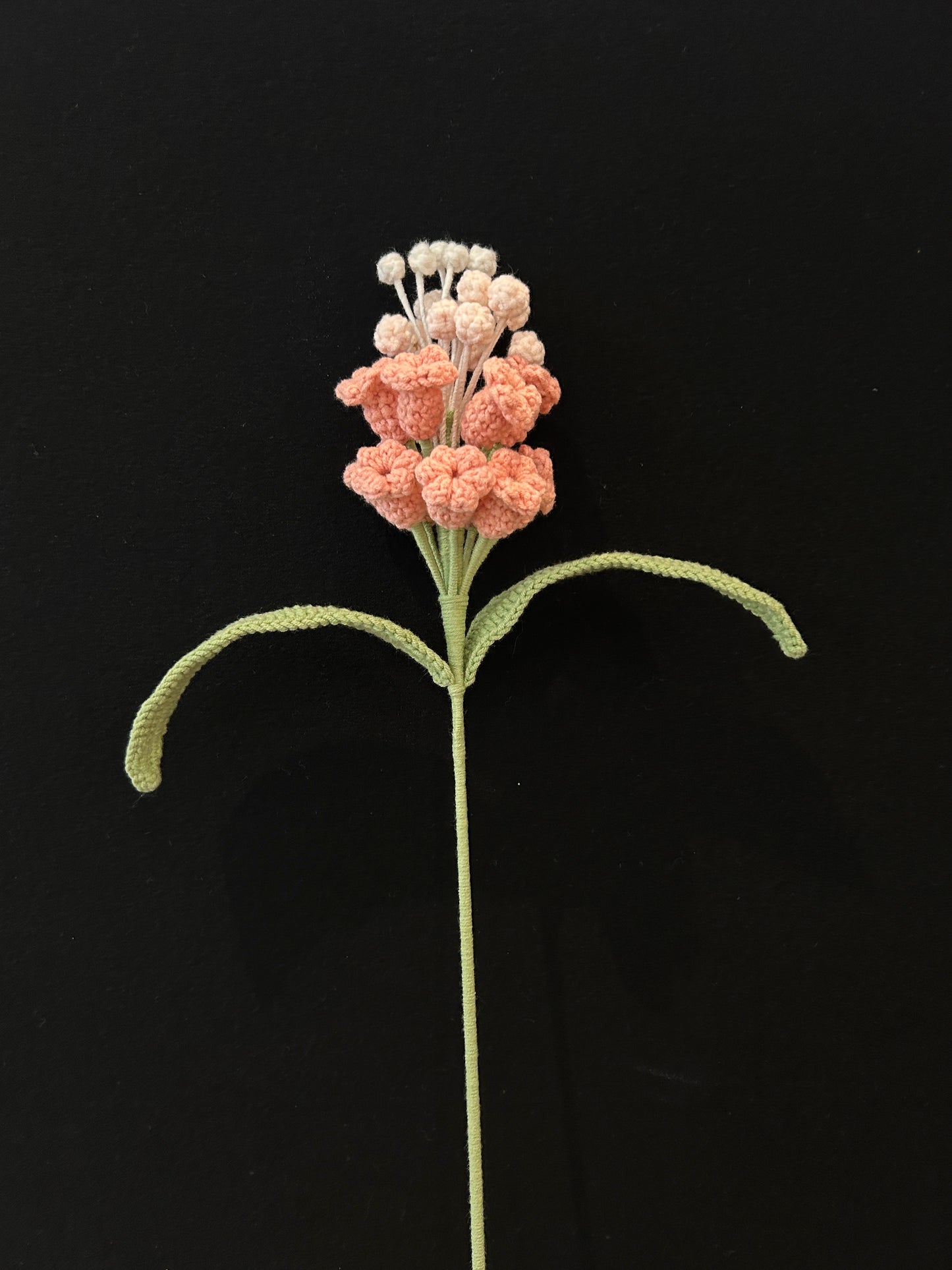 Hyacinth