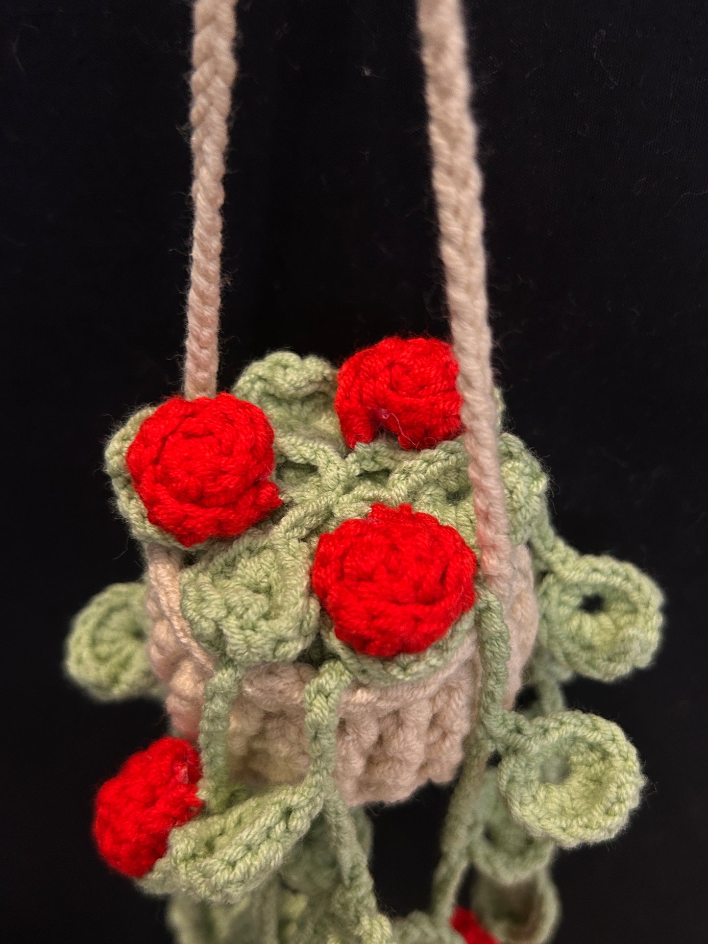 Hanging Red Flower Basket