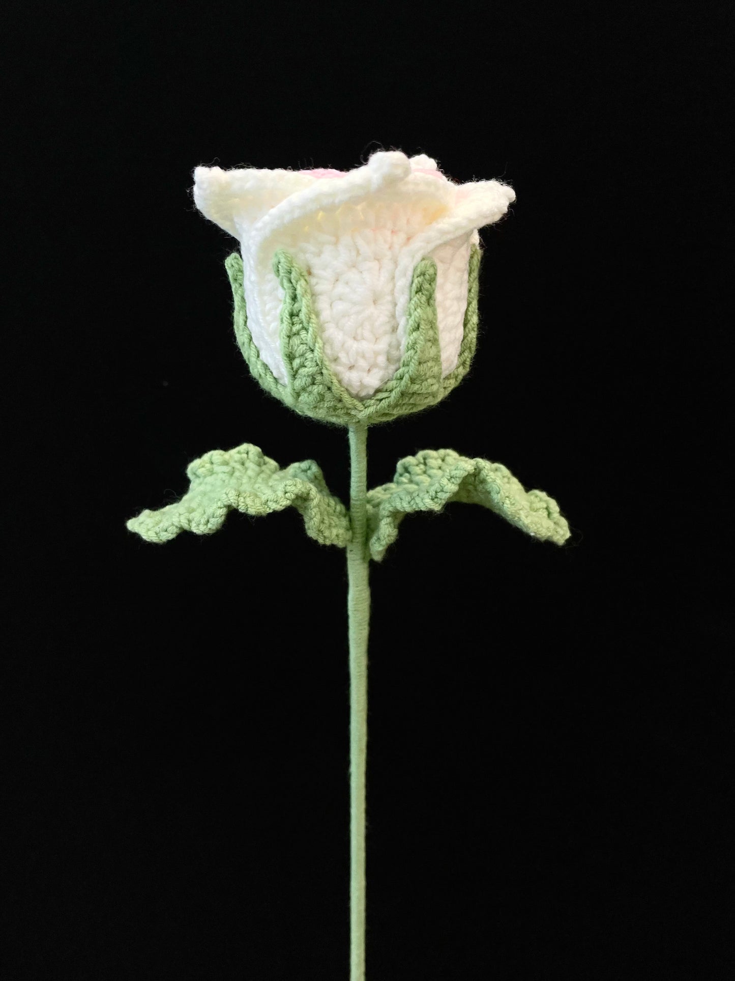 Thai Rose