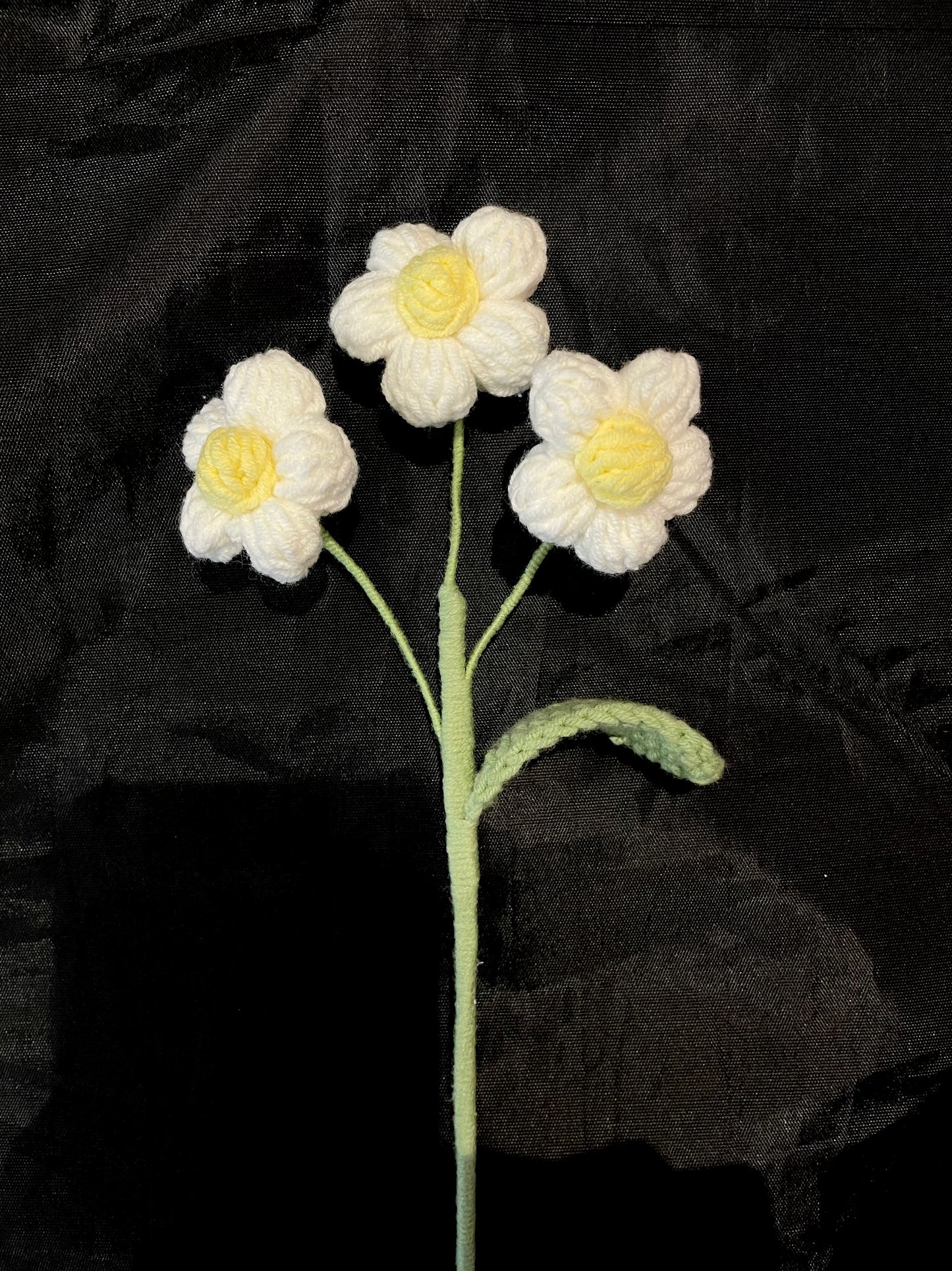 Puff Flower