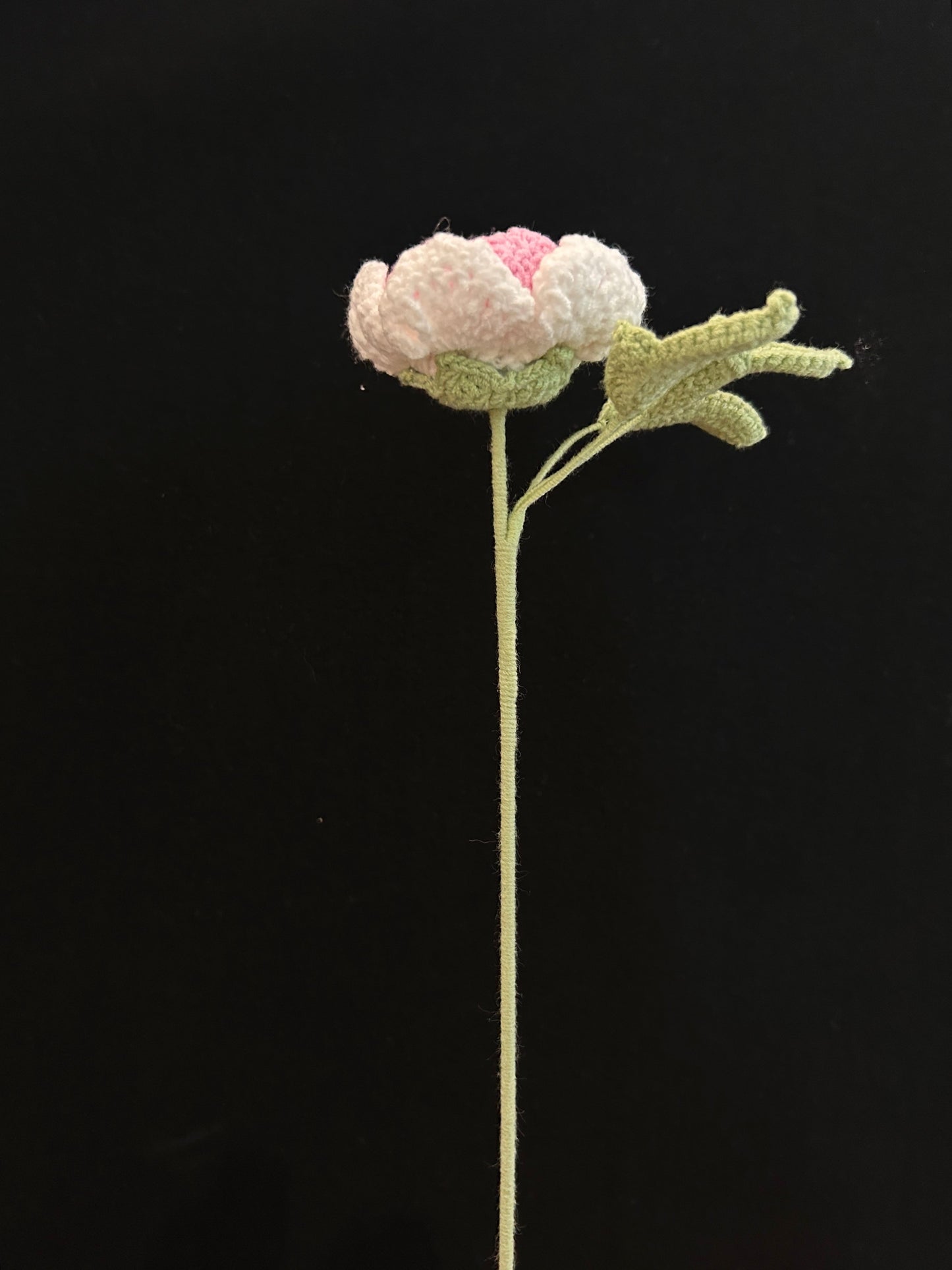 Peony