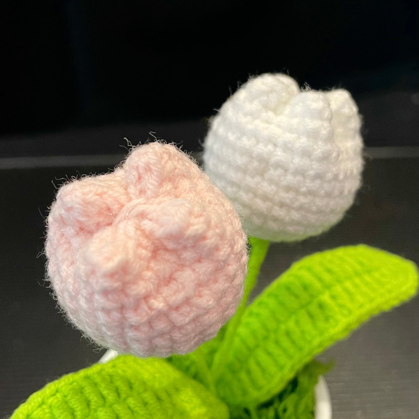 Tulip in White Pot