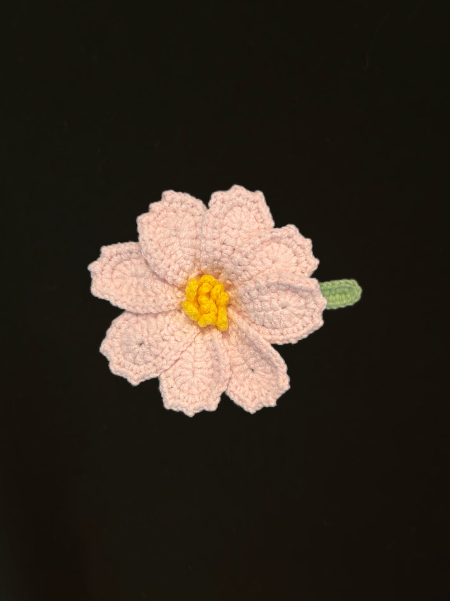 Galsang Flower