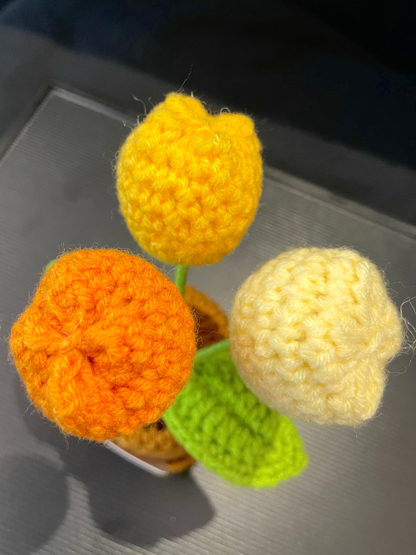 Emotional Support Plant (Tulip)
