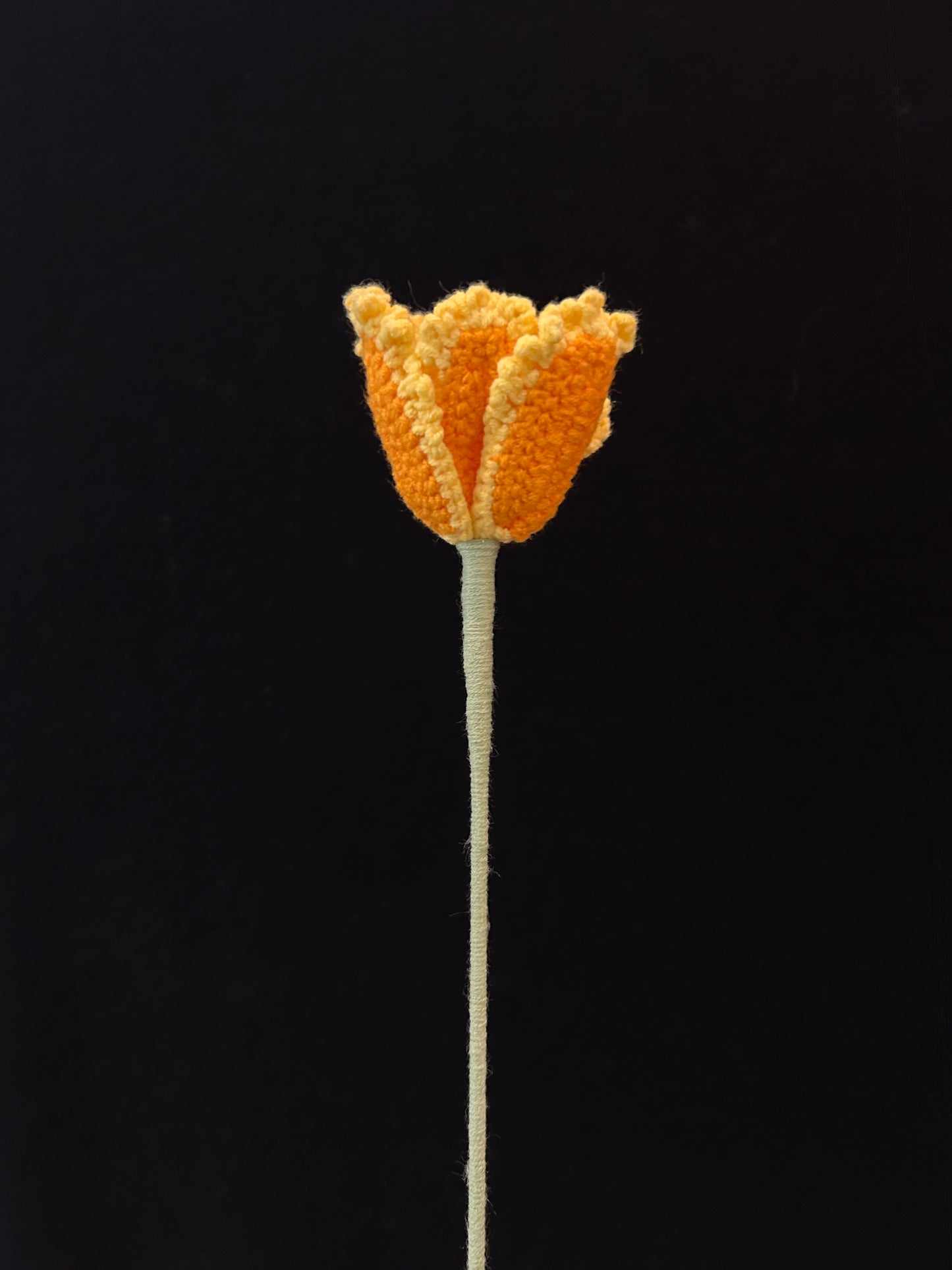 Tulip (Curly Petal)