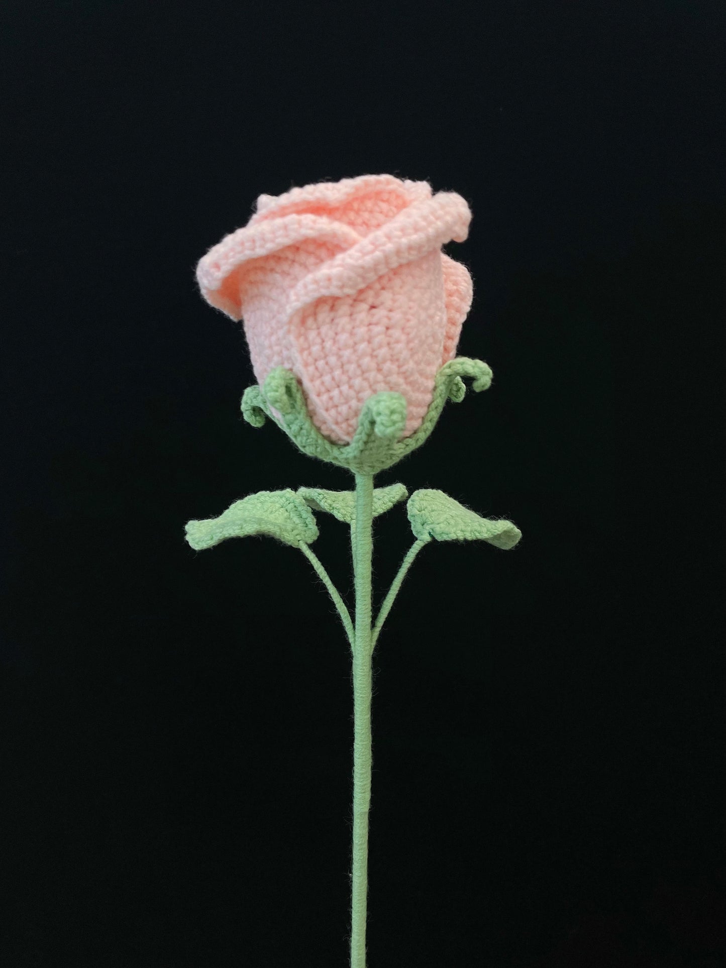 Cup-Shaped Rose