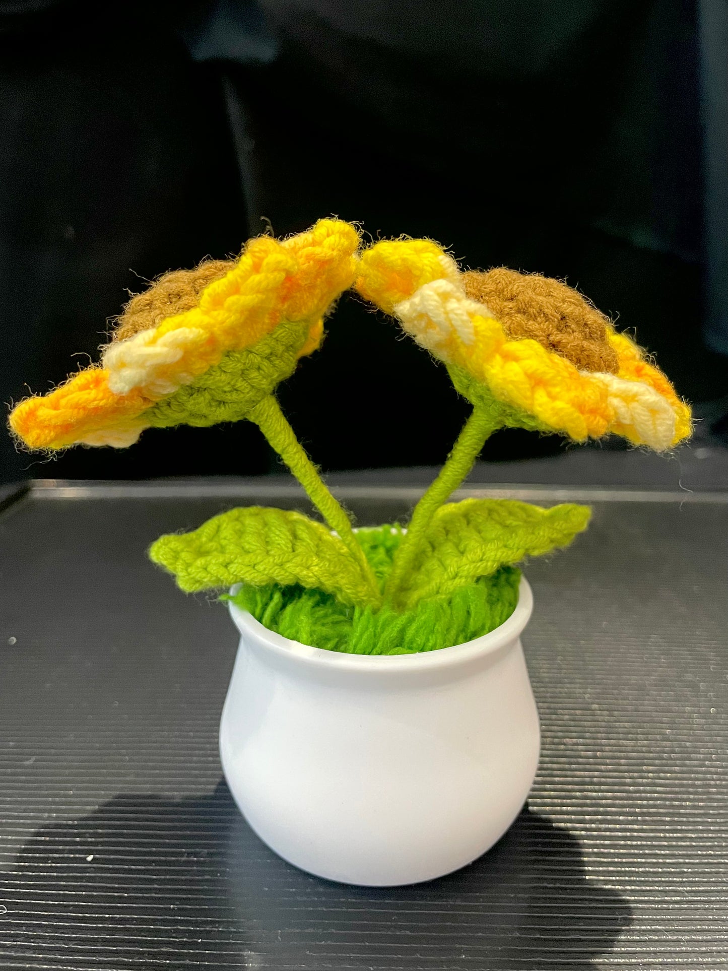 Double Sunflowers in White Pot
