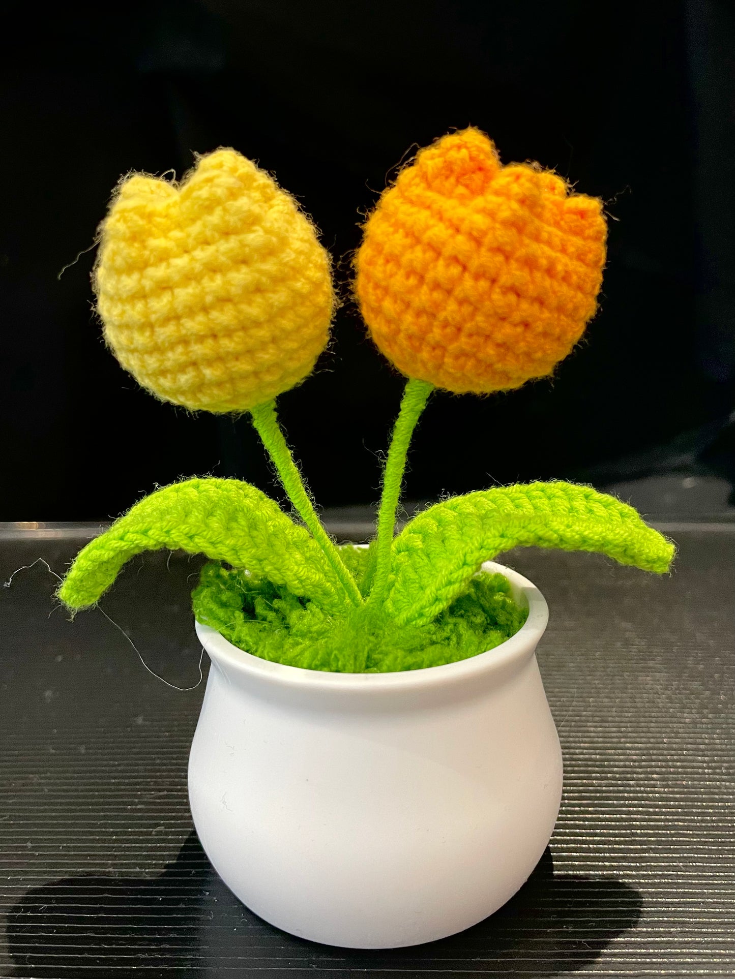 Tulip in White Pot