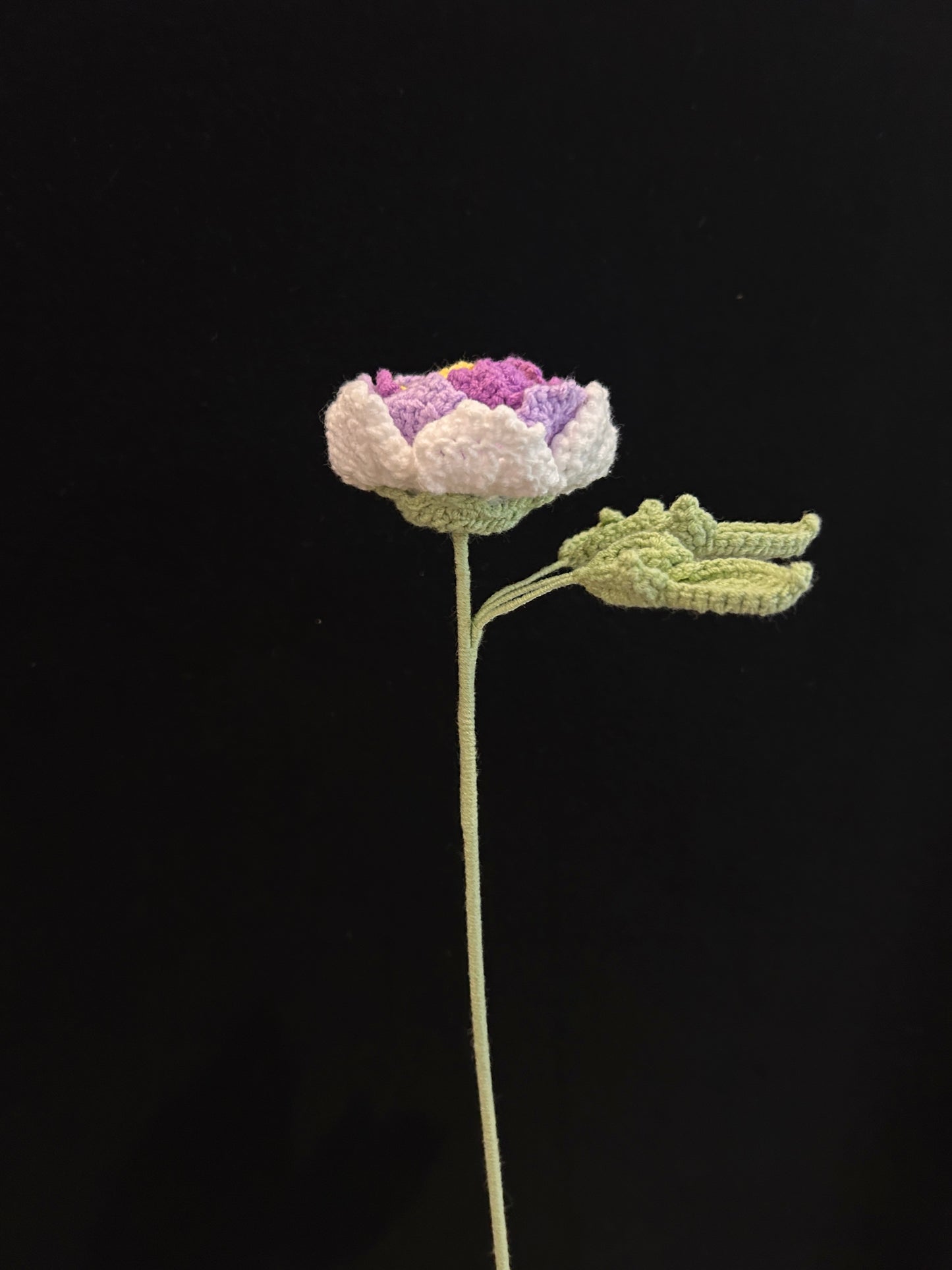 Peony