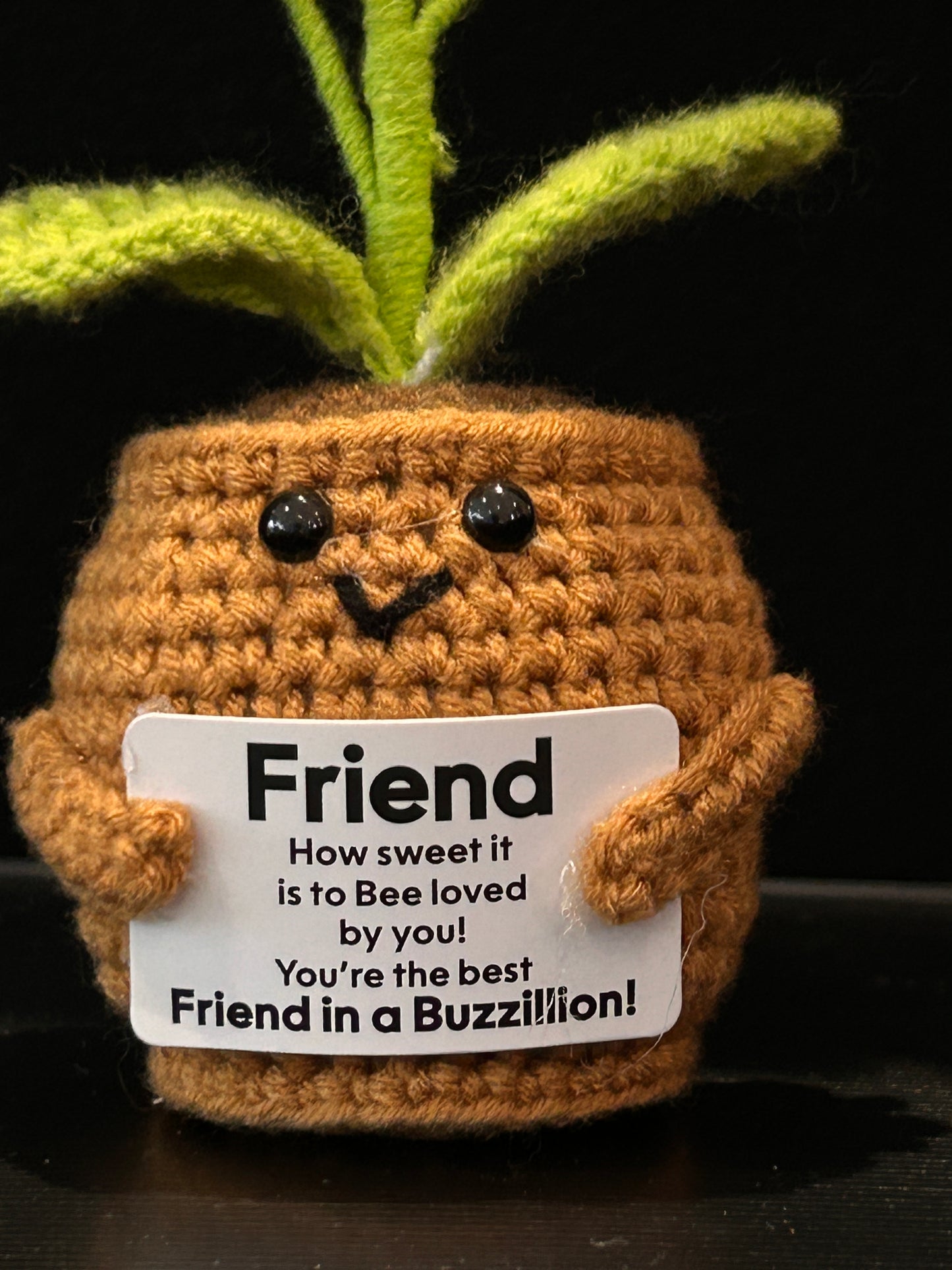Emotional Support Plant (Three Daisies)