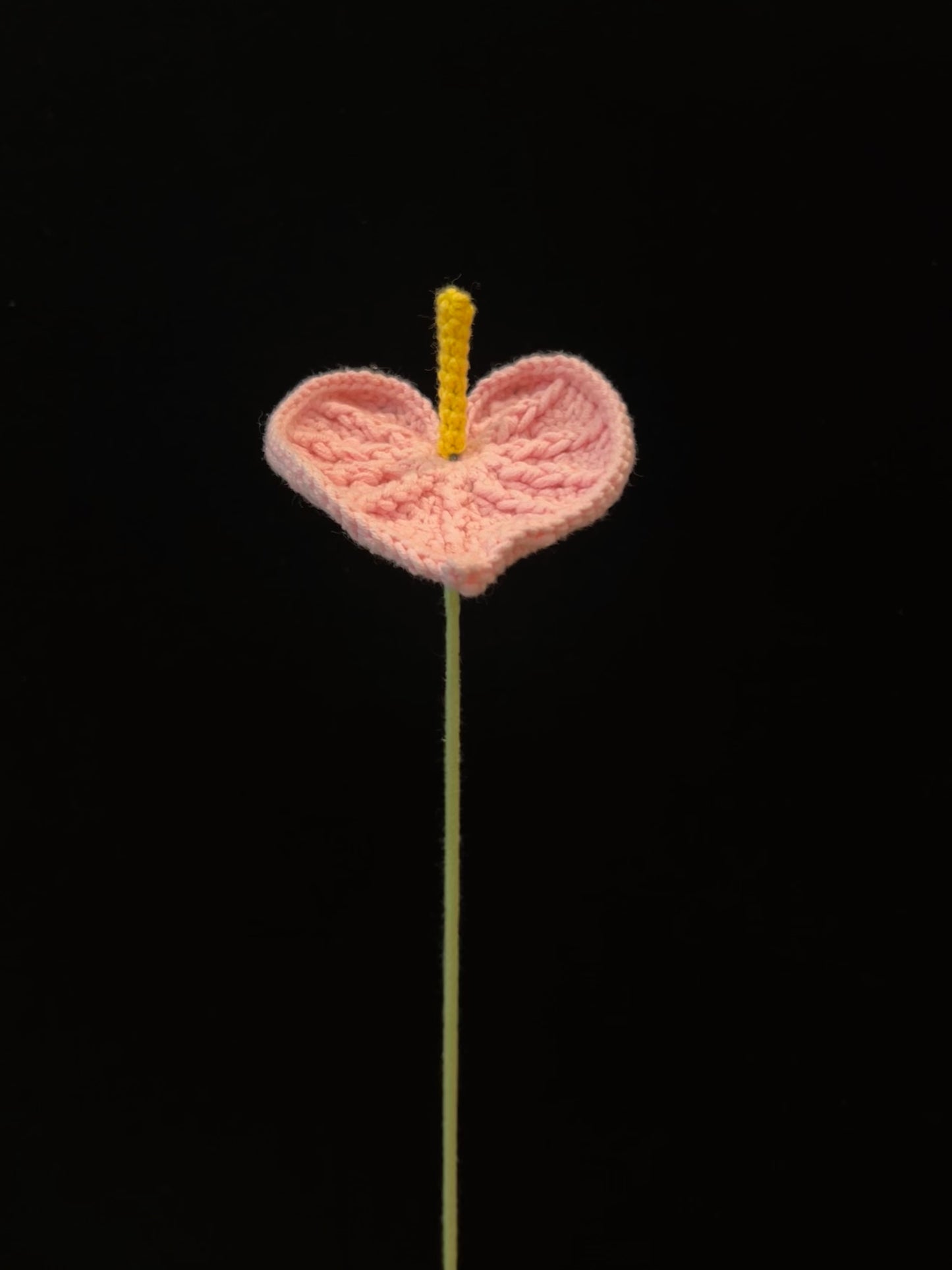 Anthurium