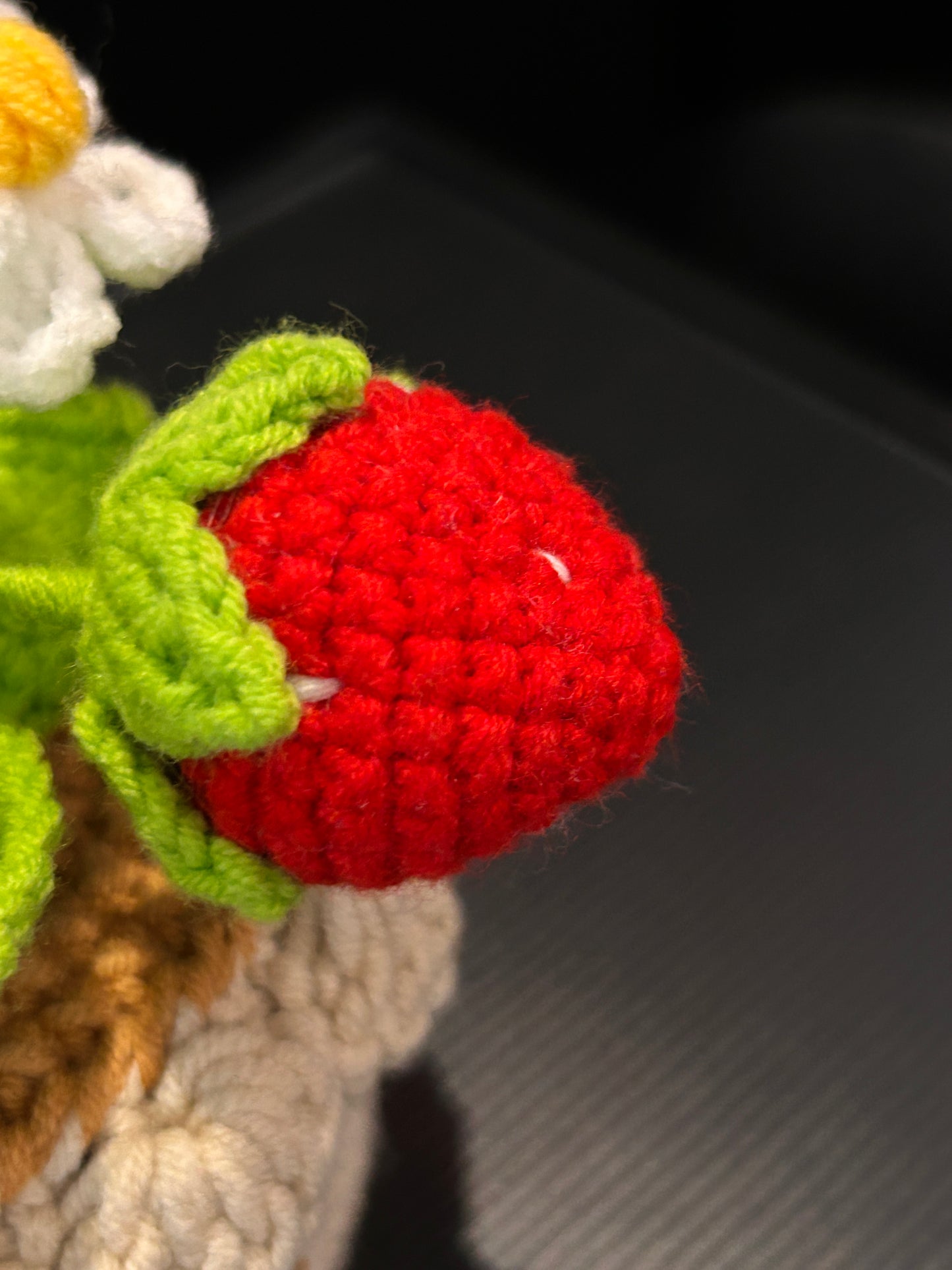 Strawberry Pot (Small)