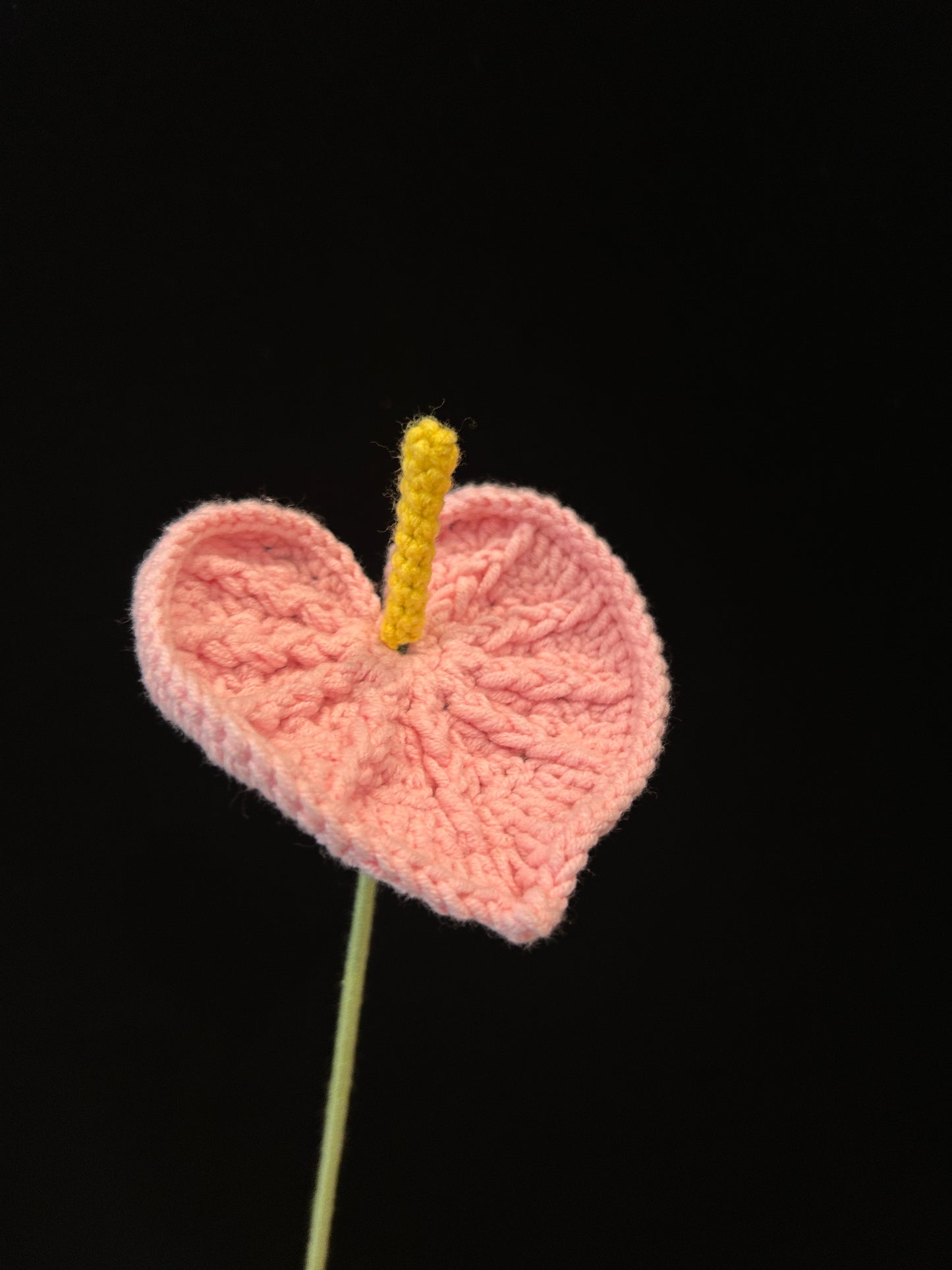 Anthurium