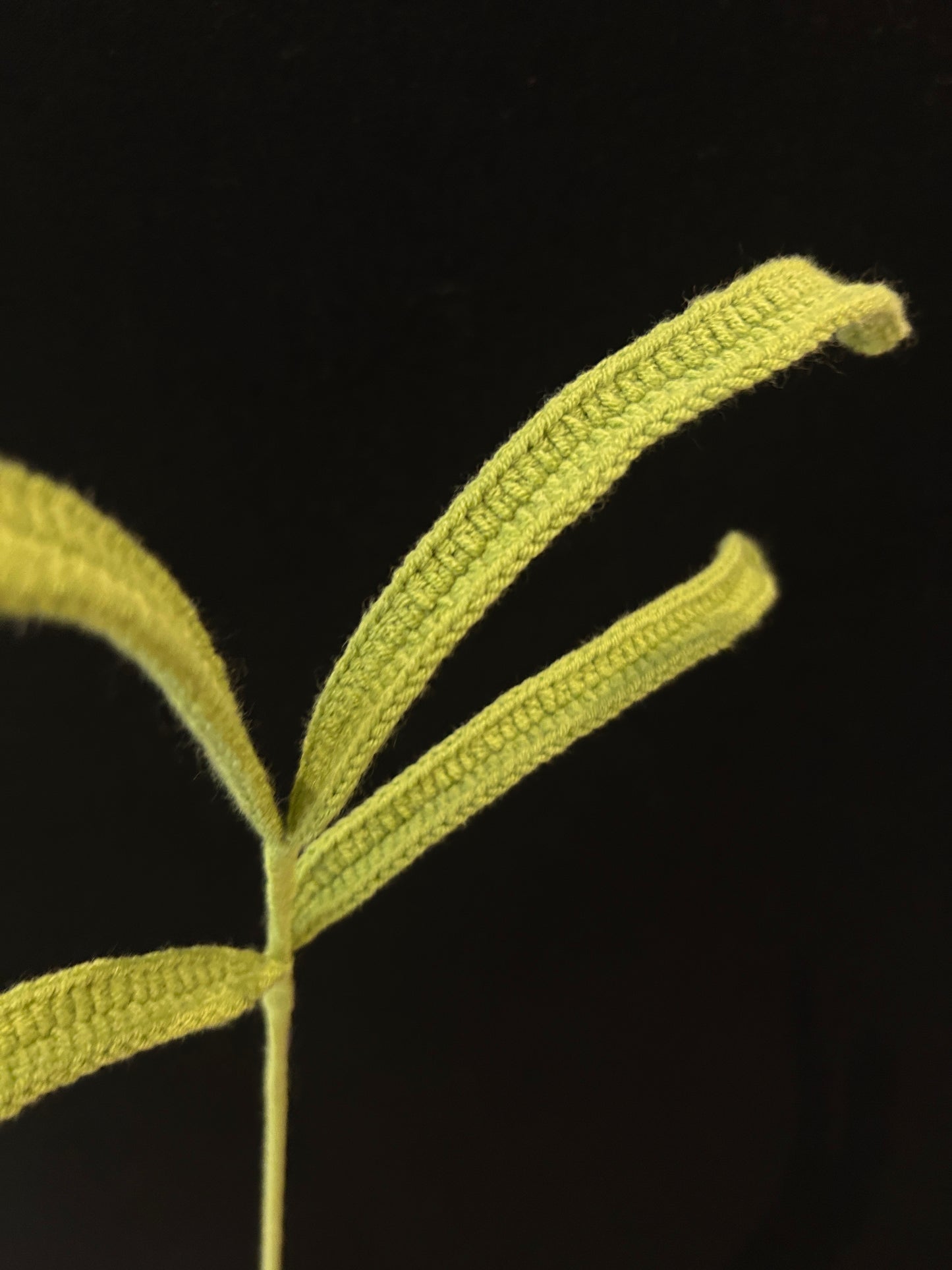 Forked Sprout