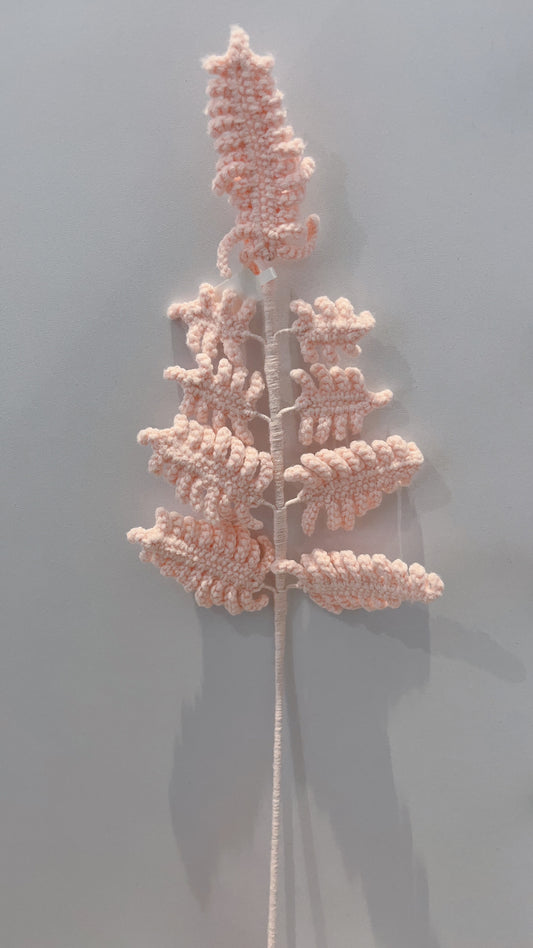 Handmade Crochet Fern Leaves