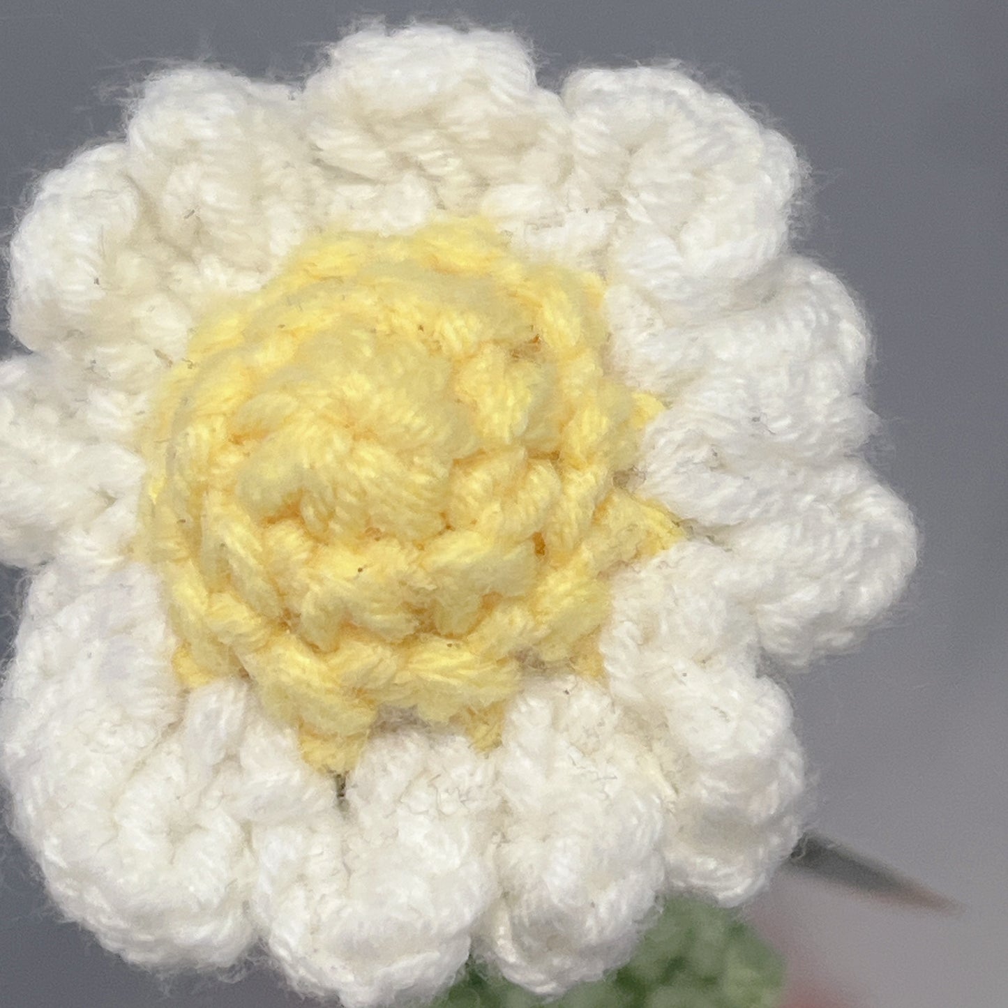 Handmade Crochet White Daisy