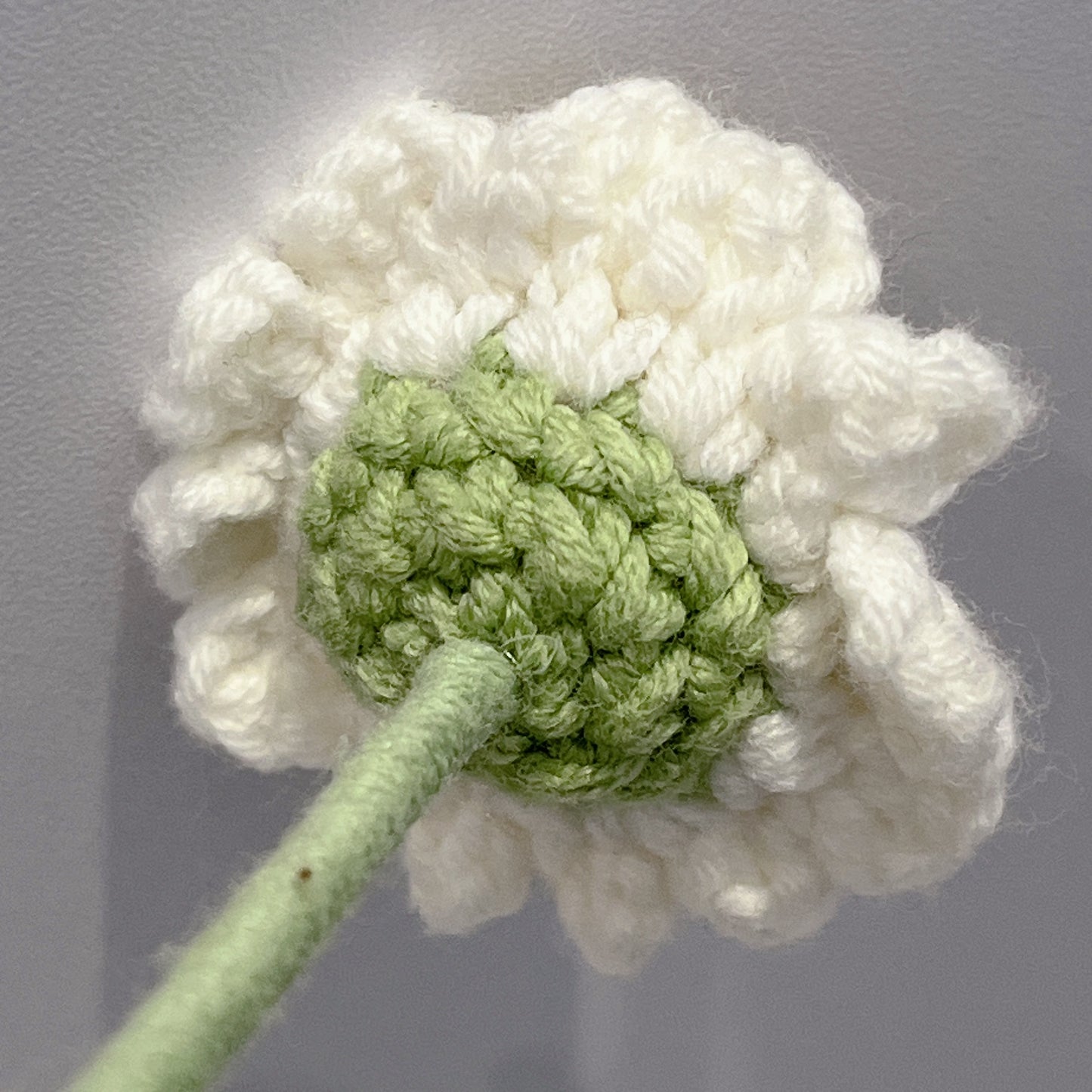 Handmade Crochet White Daisy
