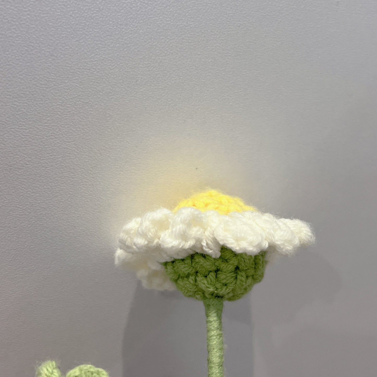 Handmade Crochet White Daisy