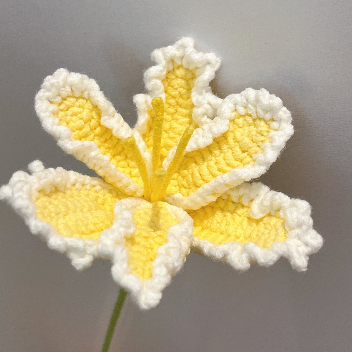 Handmade Crochet Tulip Flower (curly petal)