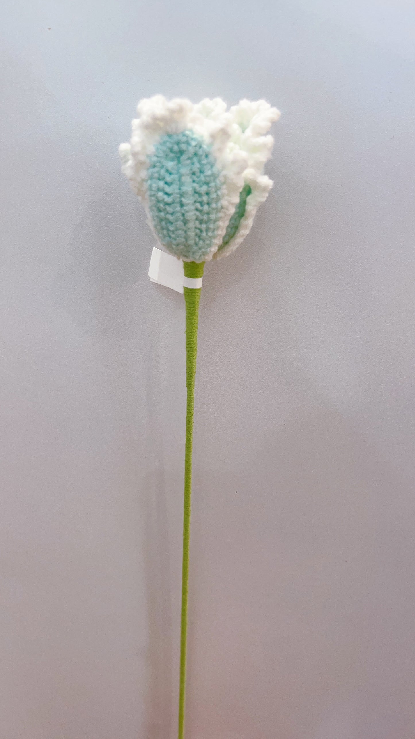 Handmade Crochet Tulip Flower (curly petal)