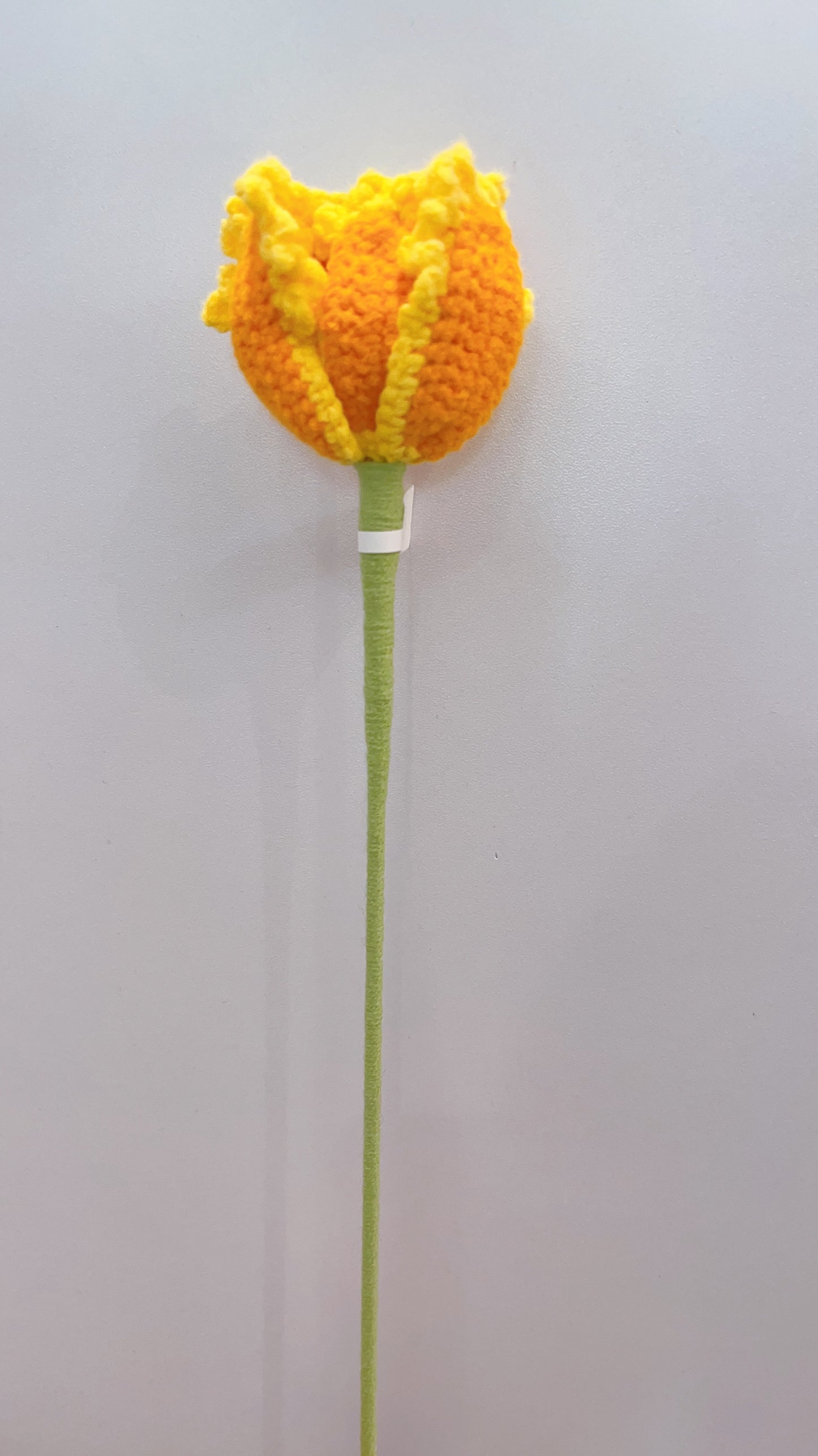 Handmade Crochet Tulip Flower (curly petal)