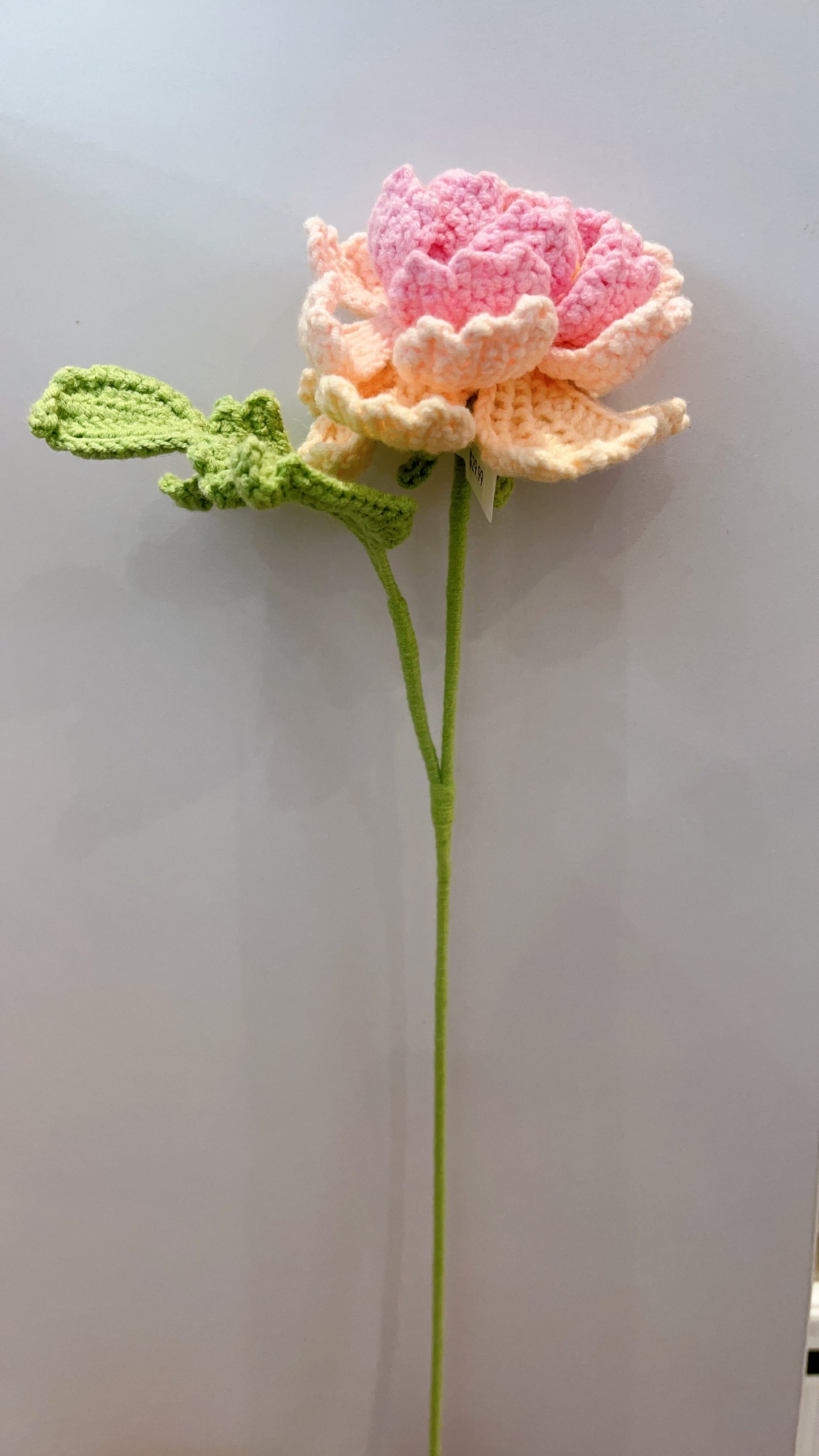 Handmade Crochet Peony Flower
