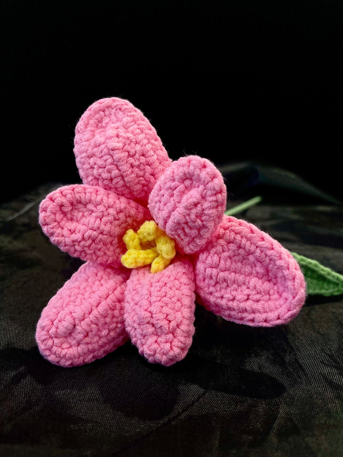 Tulip