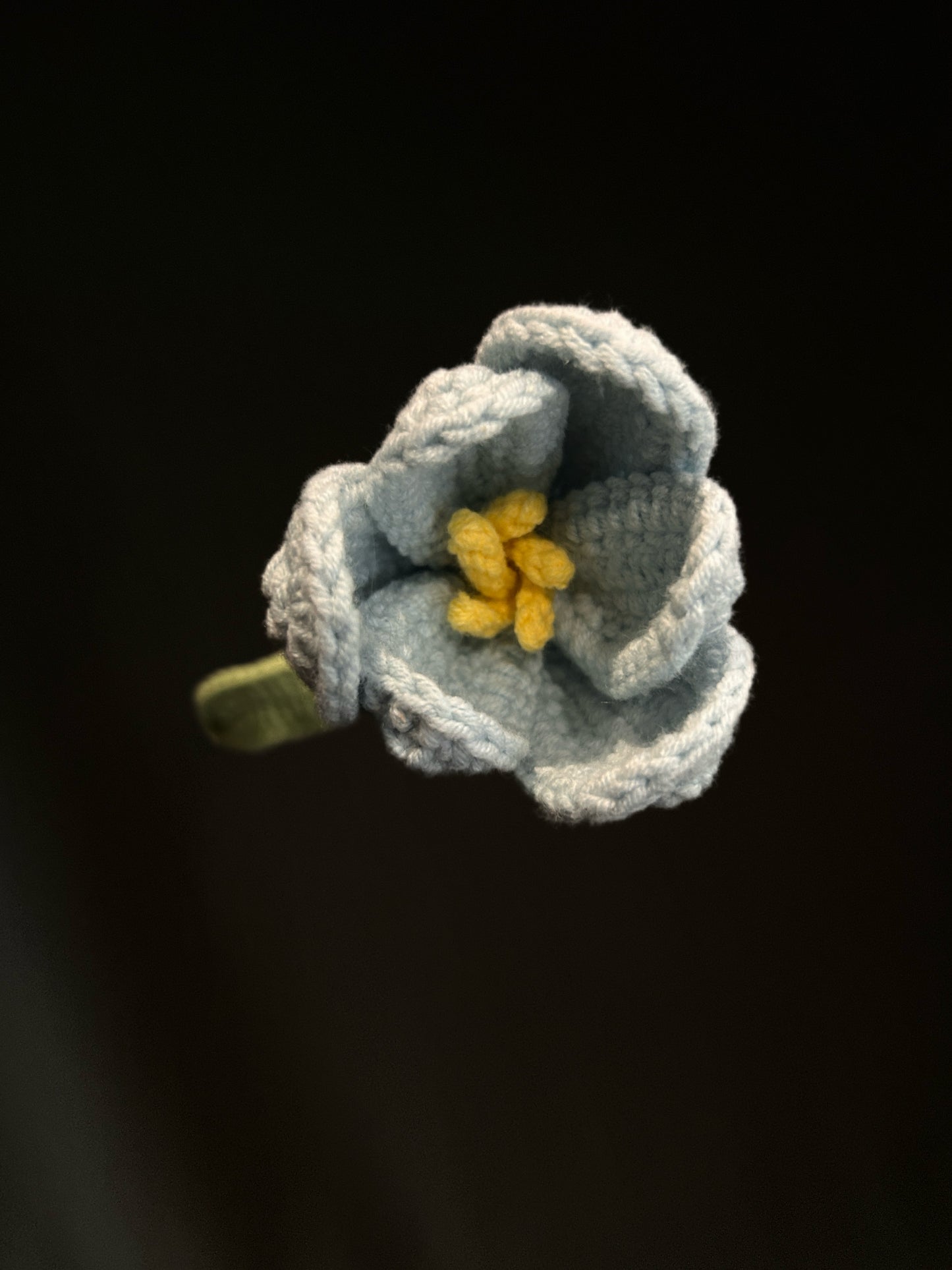 Tulip