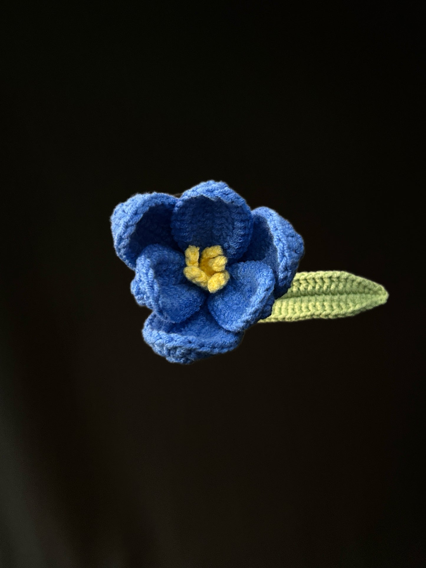 Tulip