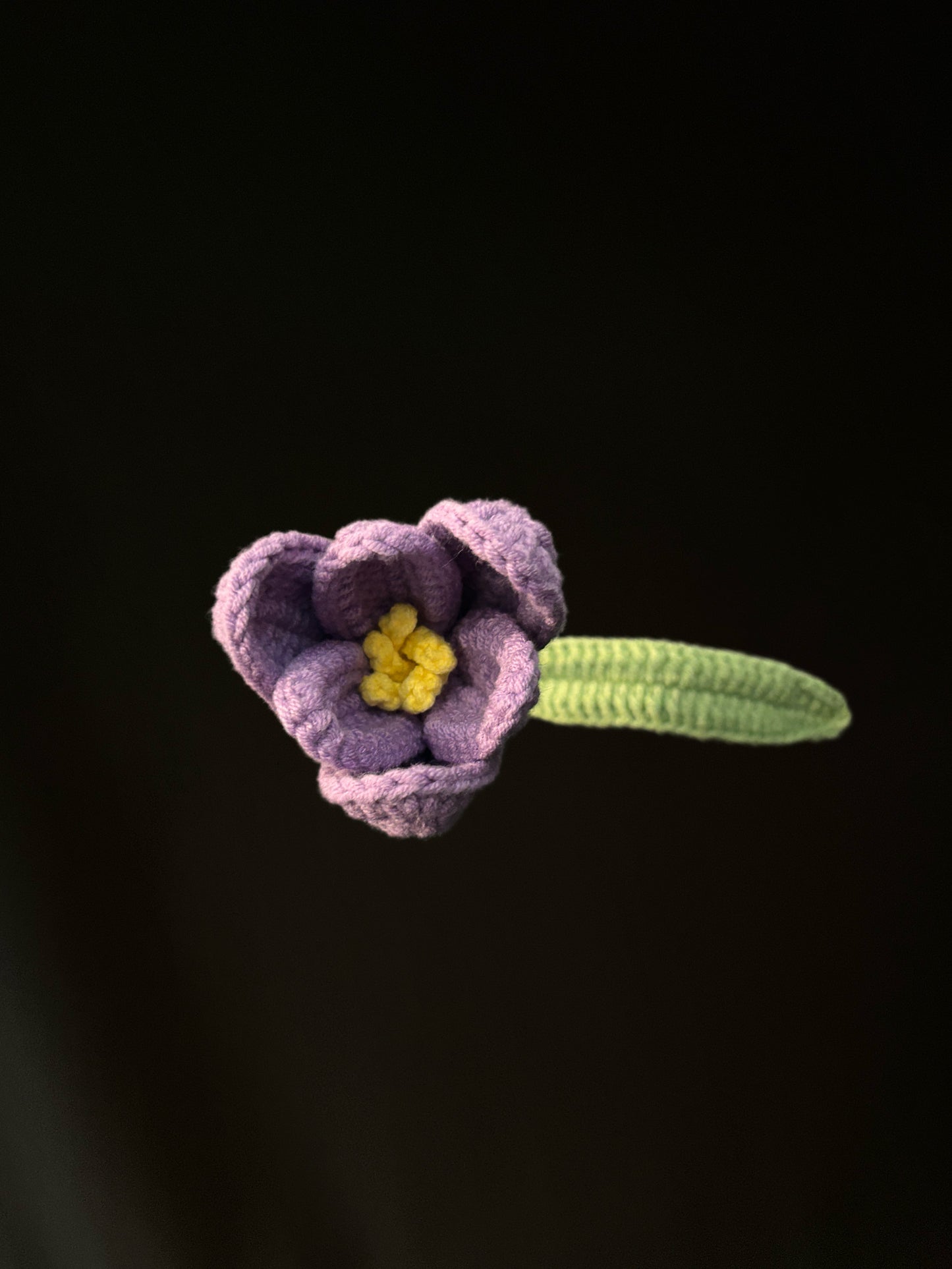Tulip