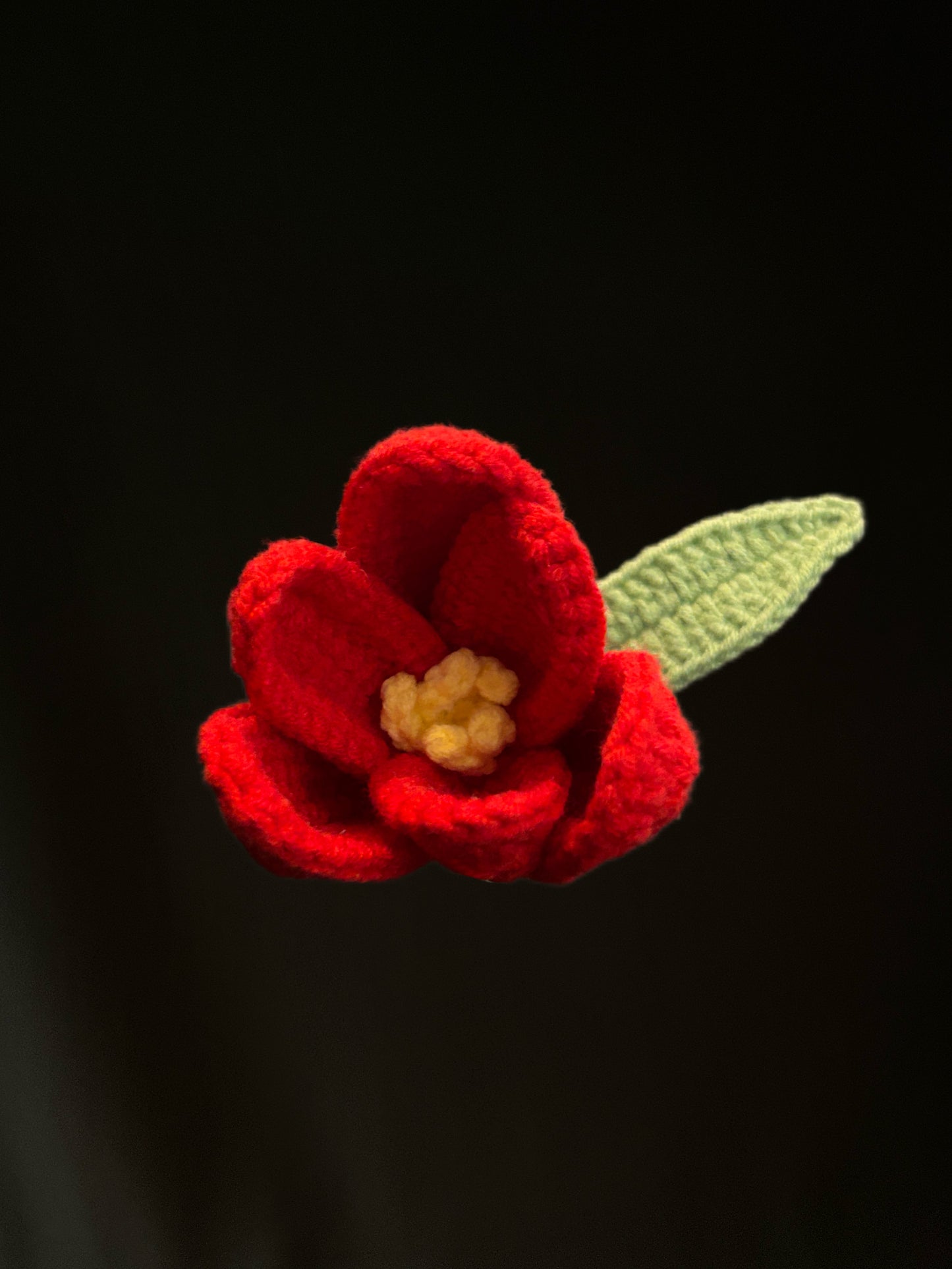 Tulip