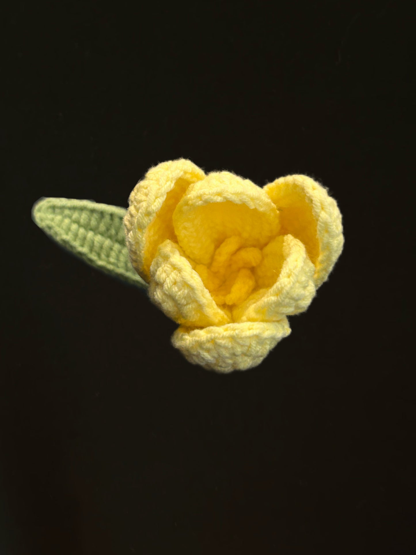 Tulip