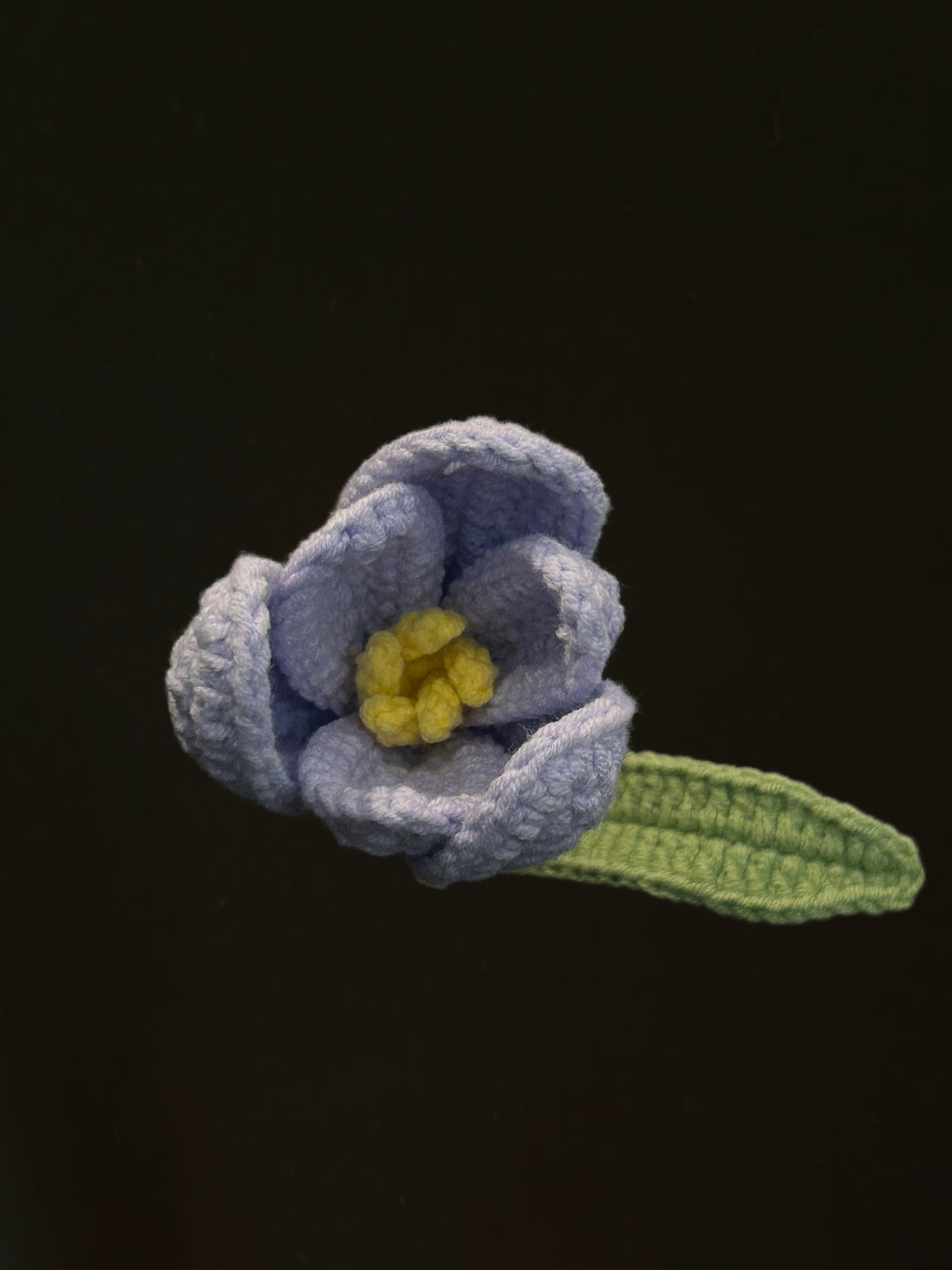 Tulip