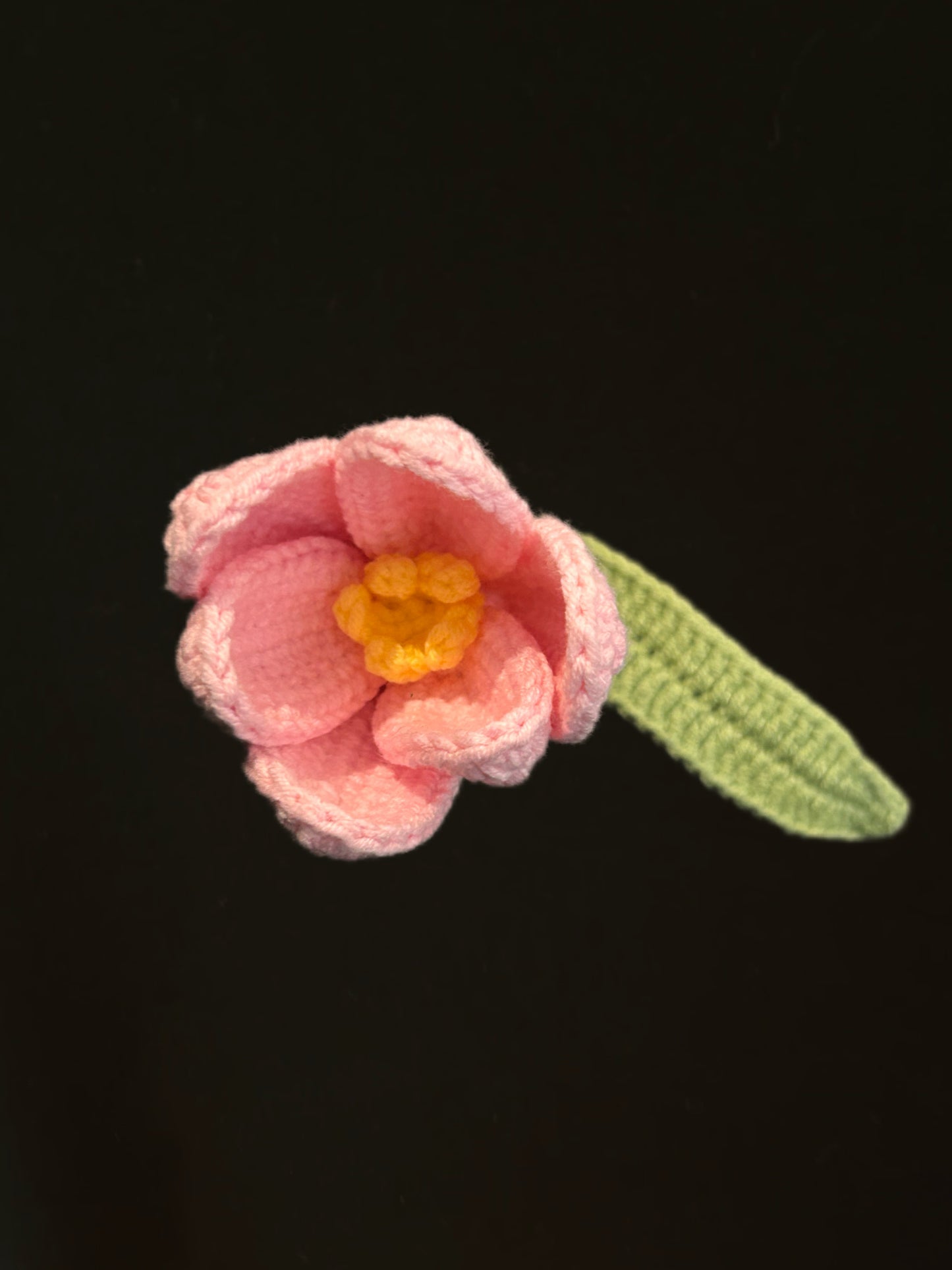 Tulip