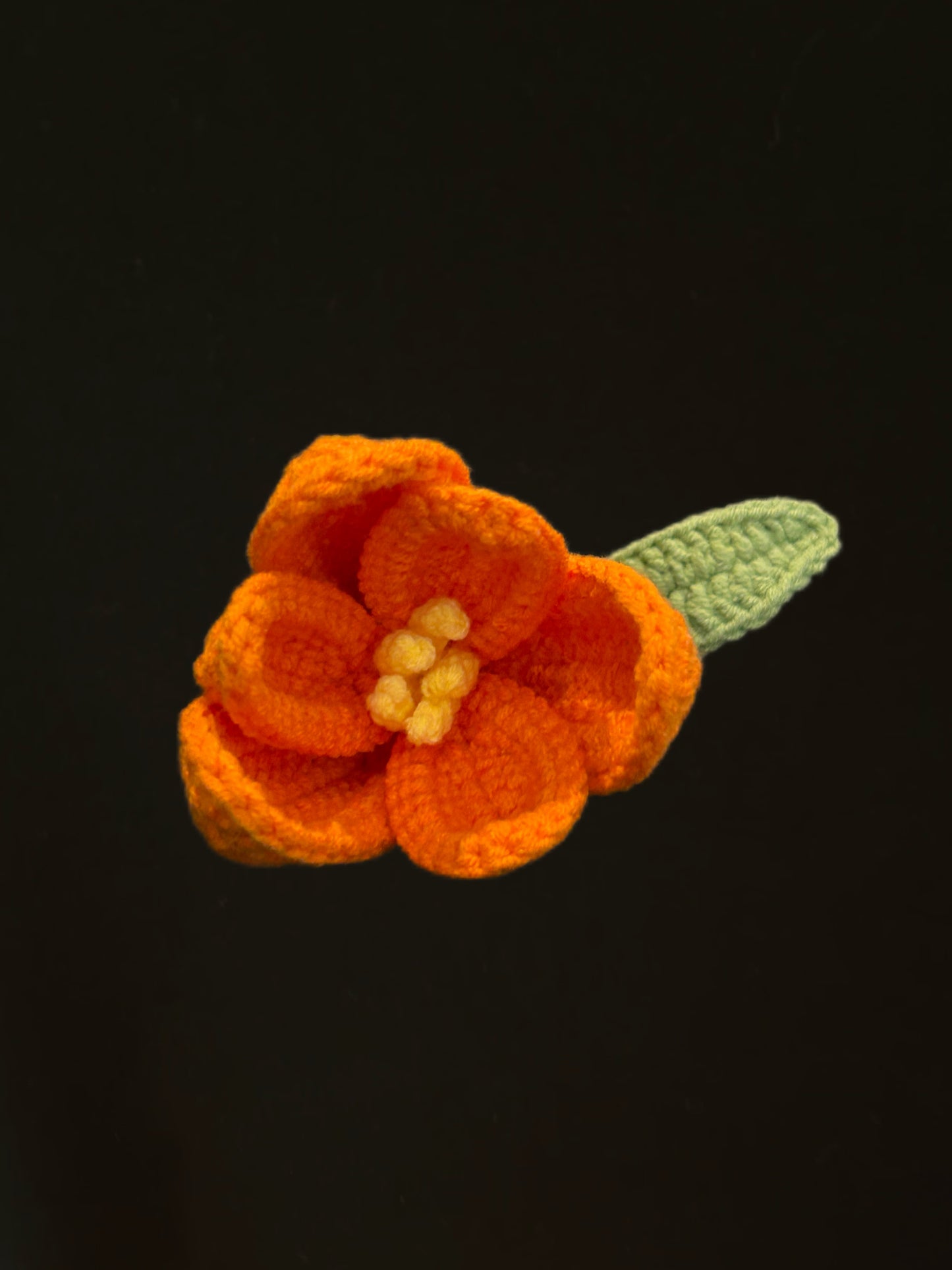Tulip