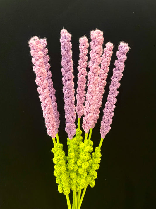 Lavender