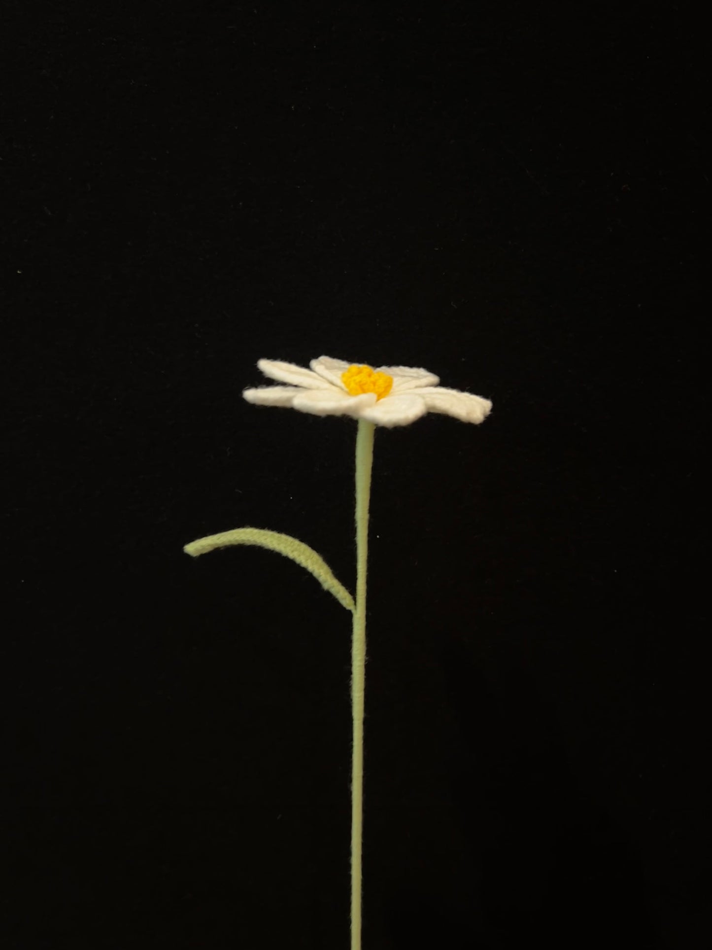 Galsang Flower