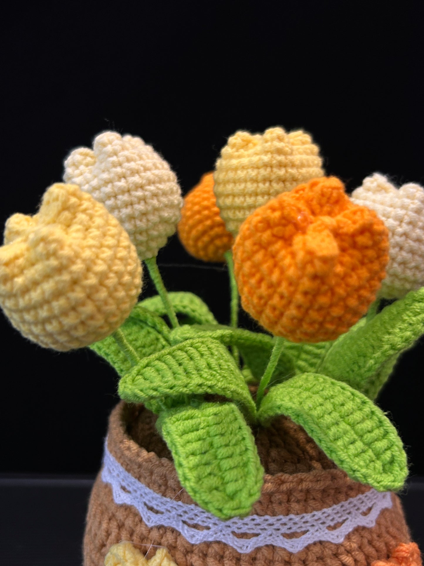 Tulip Pot