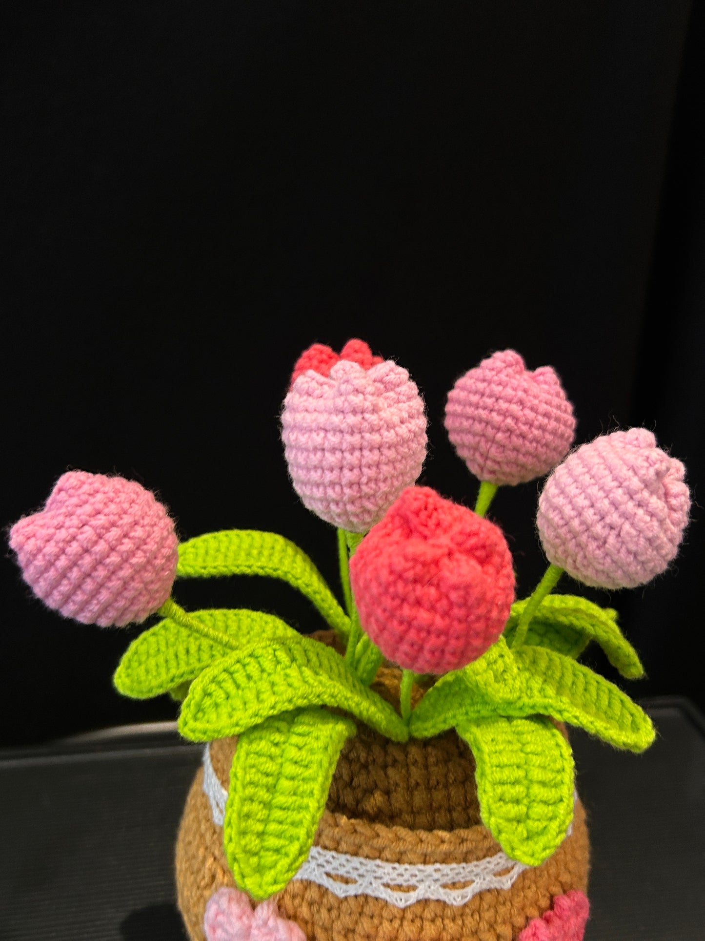 Tulip Pot