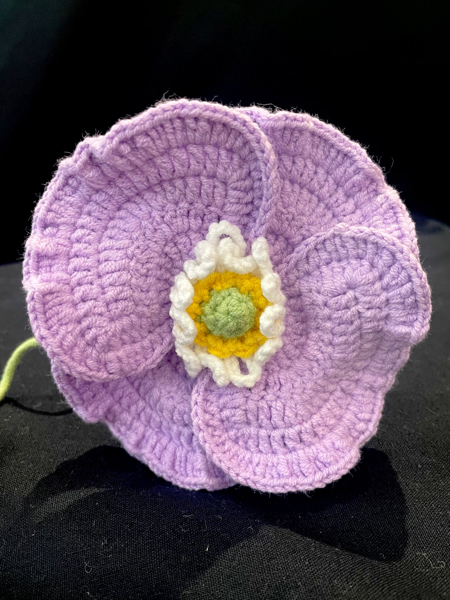 Poppy